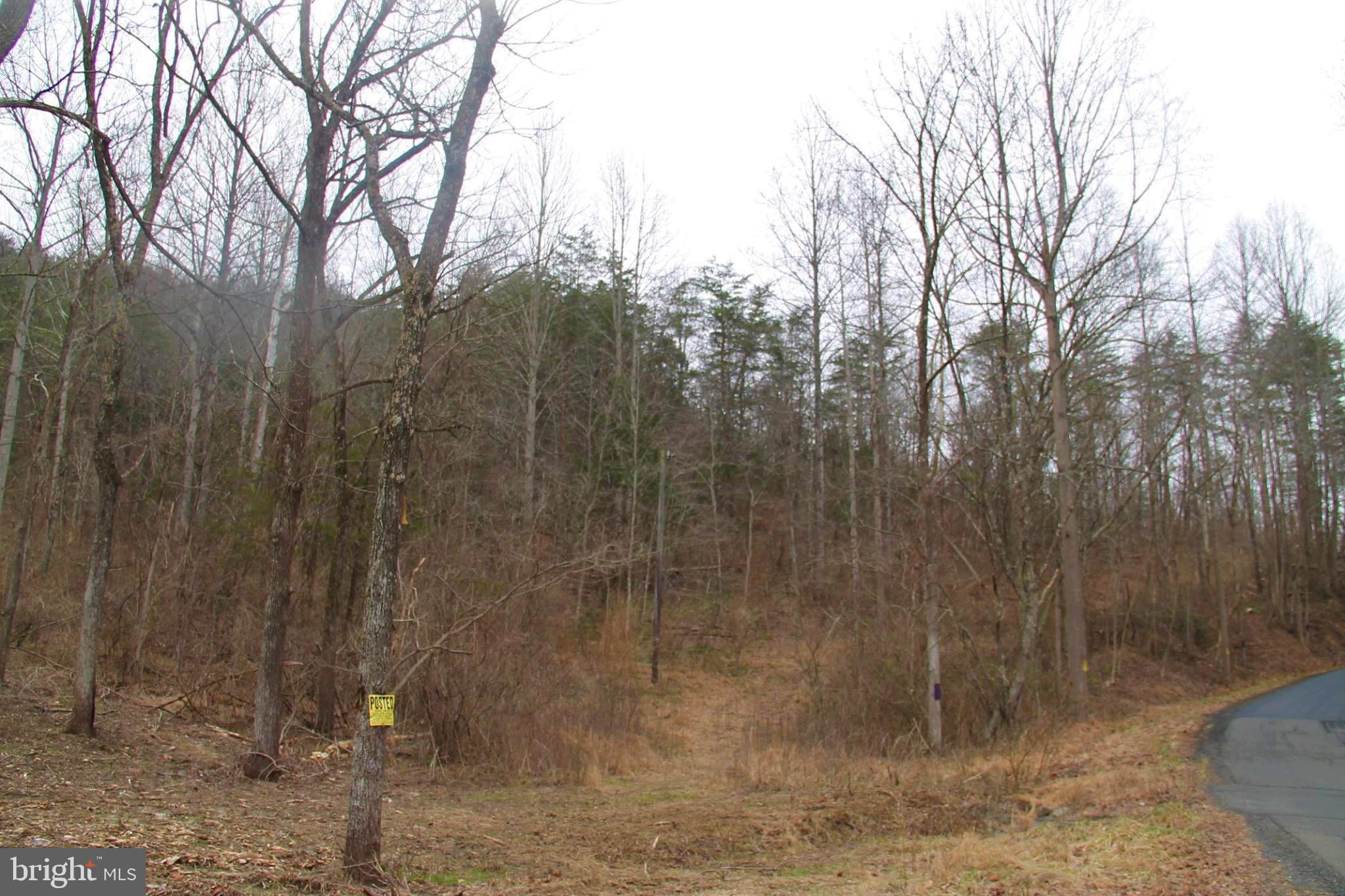 Lot 9 Carters Run Road Marshall, VA 20115 - Photo 2 of 7