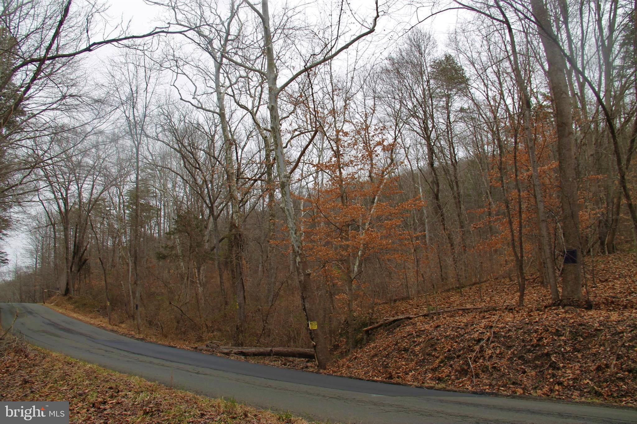 Lot 9 Carters Run Road Marshall, VA 20115 - Photo 3 of 7
