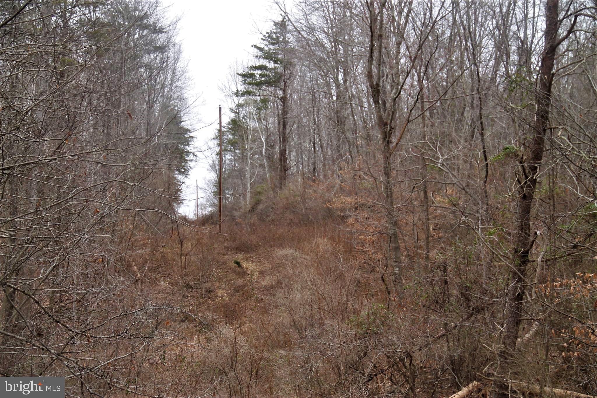 Lot 9 Carters Run Road Marshall, VA 20115 - Photo 5 of 7