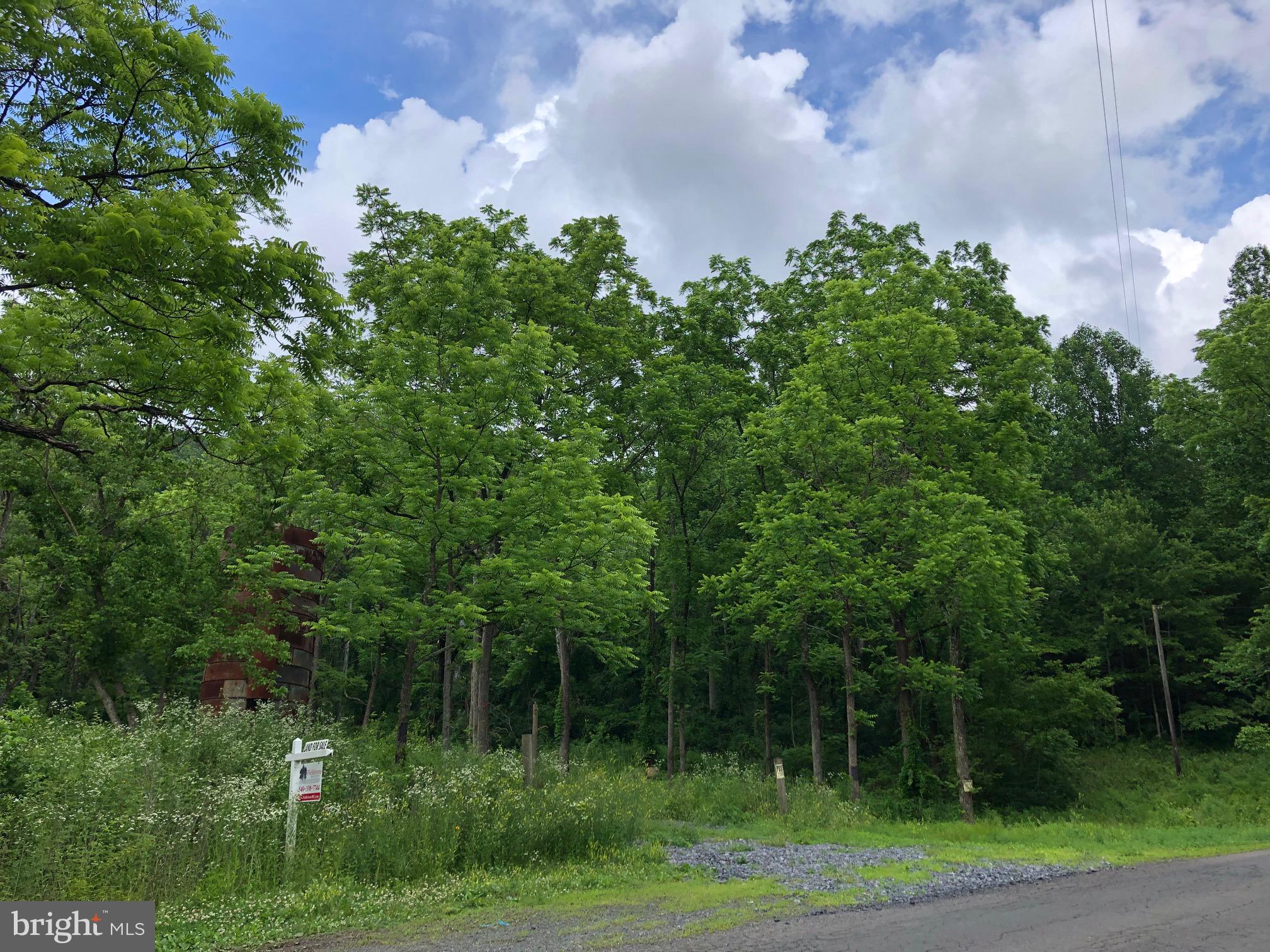 Lot 9 Carters Run Road Marshall, VA 20115 - Photo 7 of 7