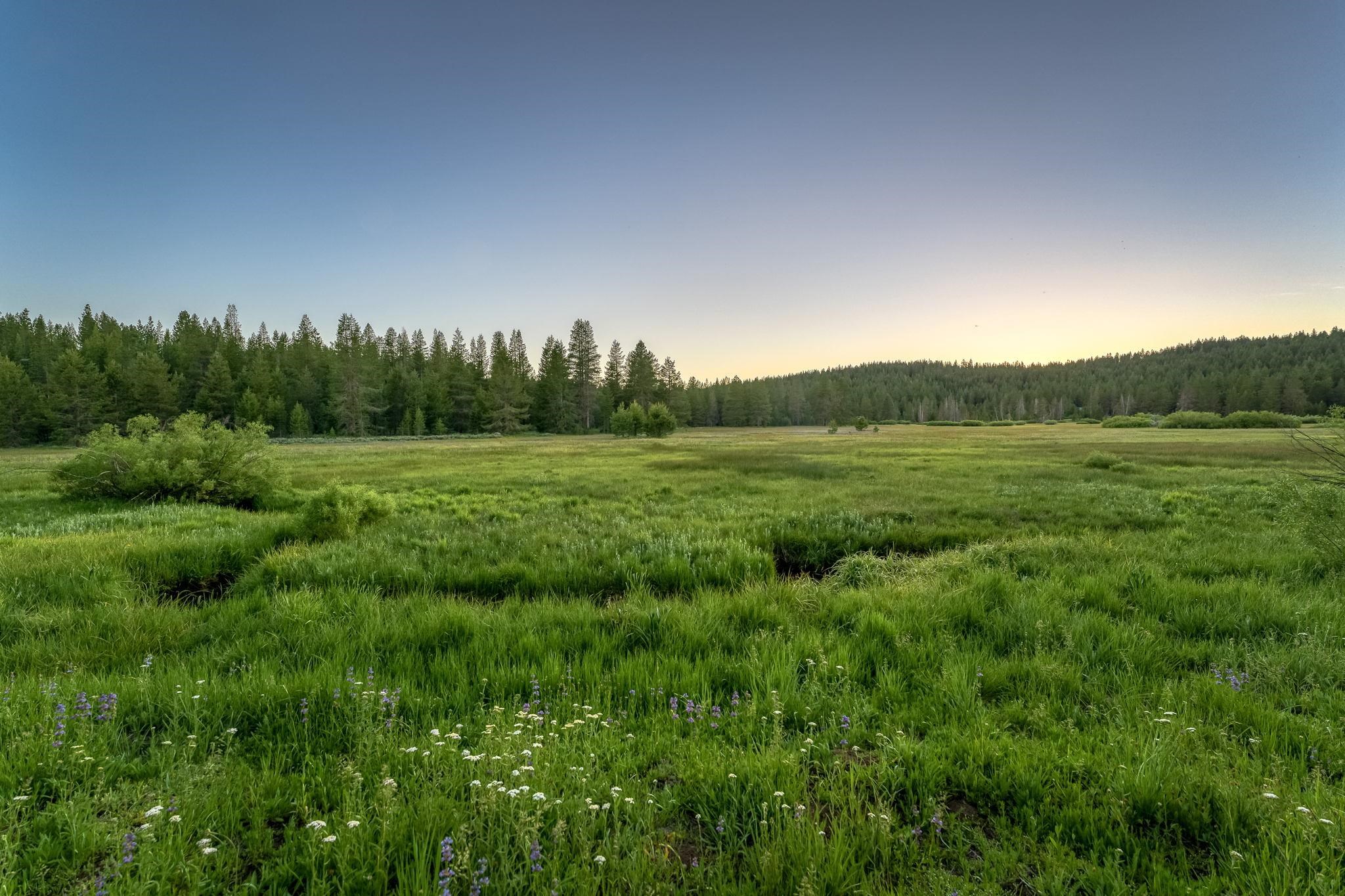 11326 Bennett Flat Road Truckee, CA 96161 - Photo 21 of 21