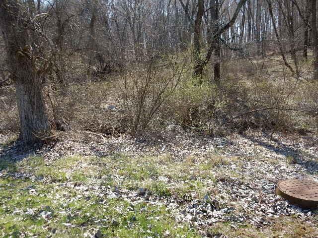 0 Grand Ridge Road Howard, OH 43028 - Photo 2 of 5 DSCN5153