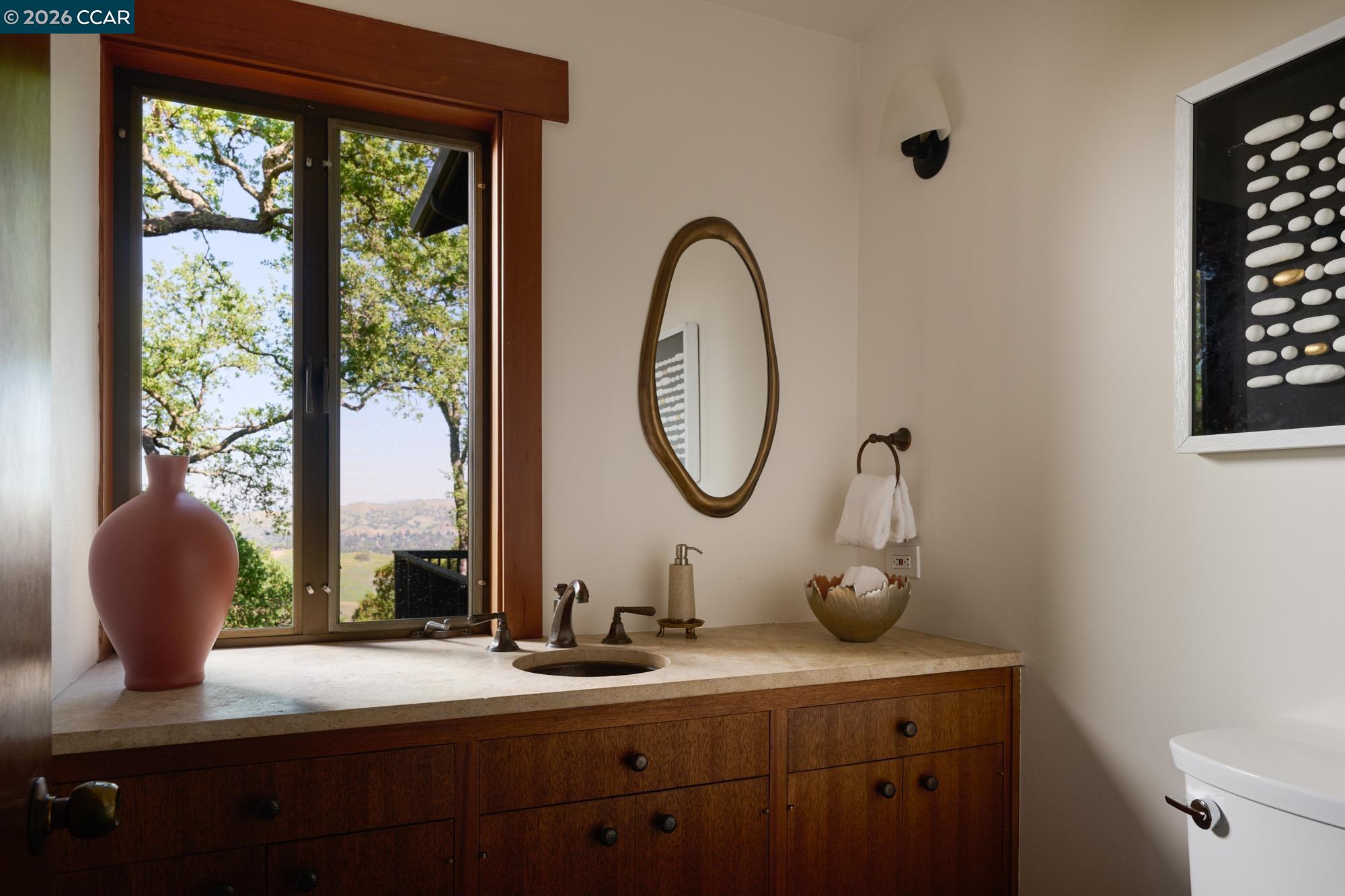 289 Castle Crest Road Alamo, CA 94507 - Photo 28 of 57 a bathroom with a toilet a sink and a mirror