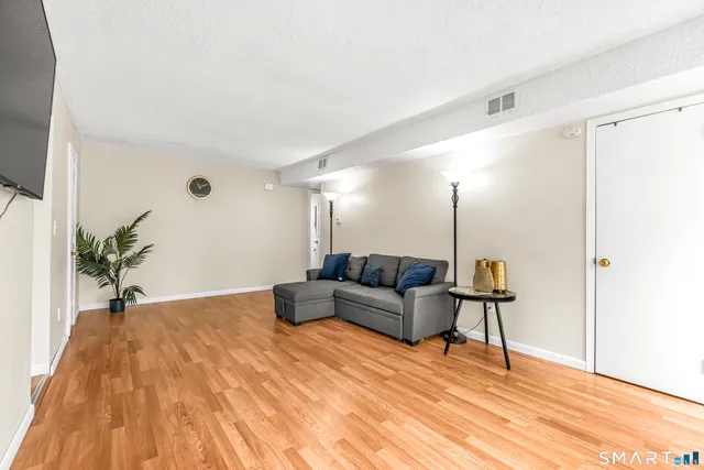 a living room with furniture and a potted plant