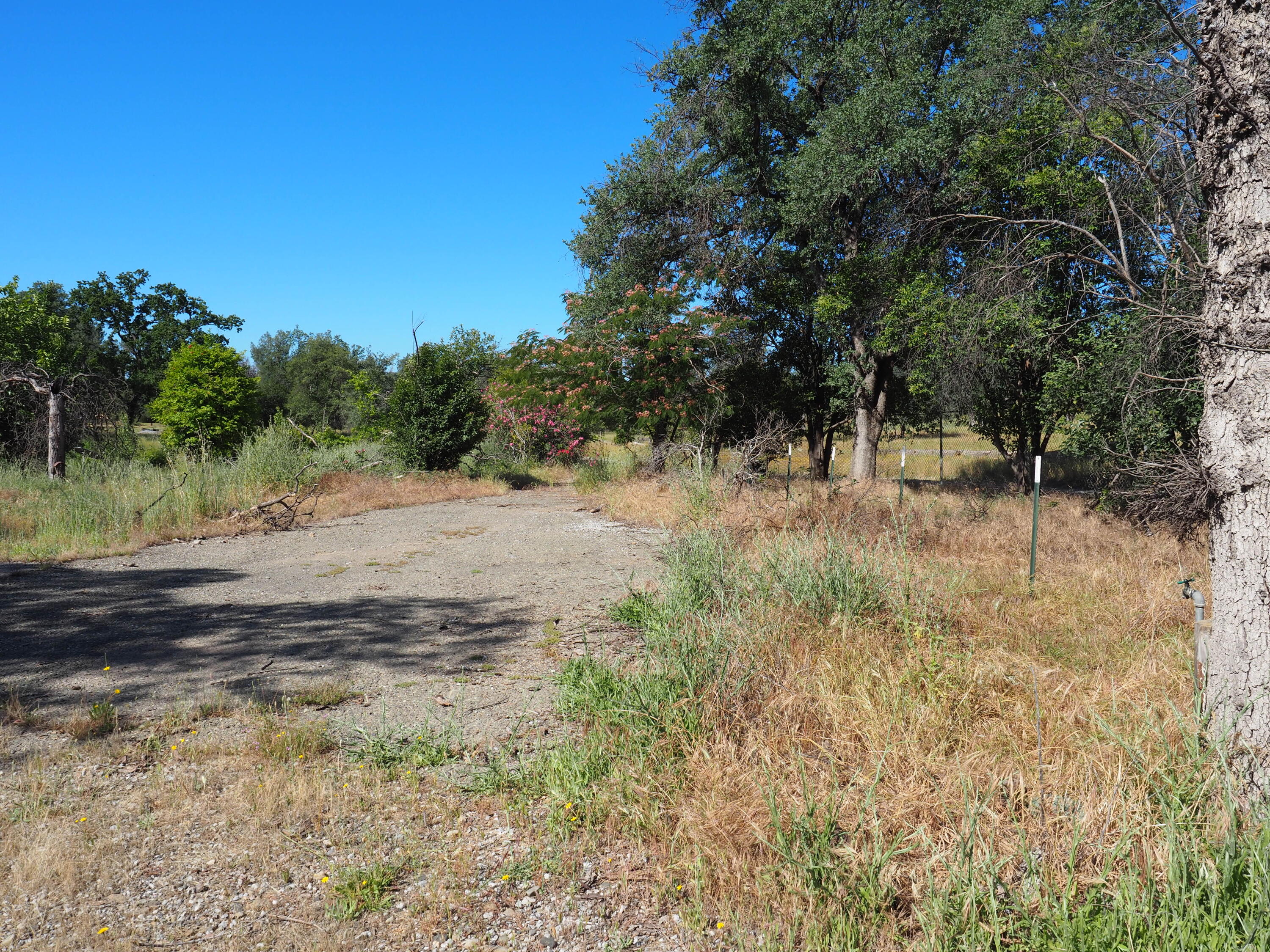 20103 Parocast Road Redding, CA 96003 - Photo 5 of 24 a view of a dry yard