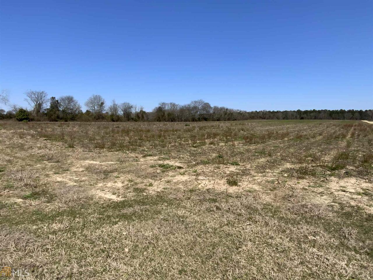 0 Old Reaby Road Dudley, GA 31022 - Photo 1 of 1