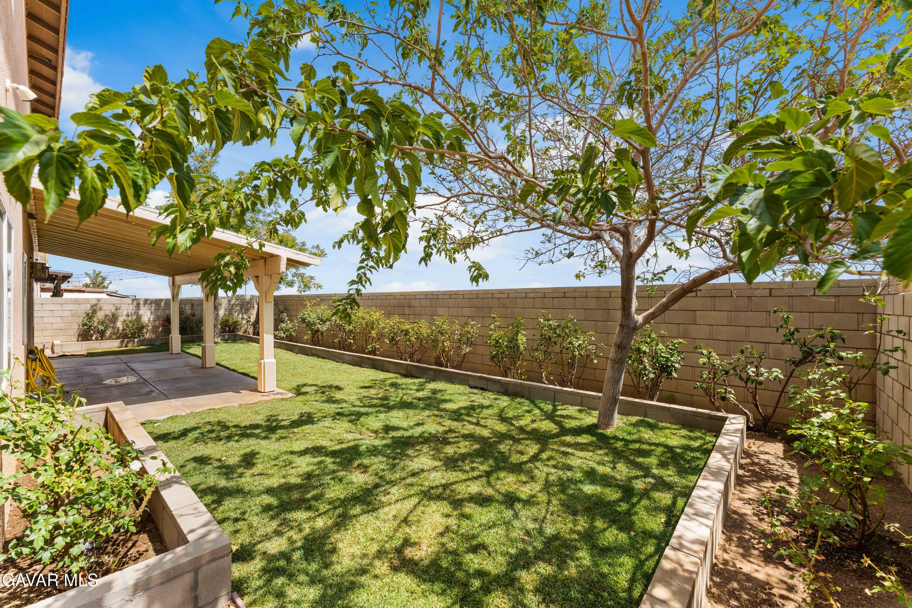 45448 Spahn Lane Lancaster, CA 93535 - Photo 37 of 49 a view of a yard with wooden fence