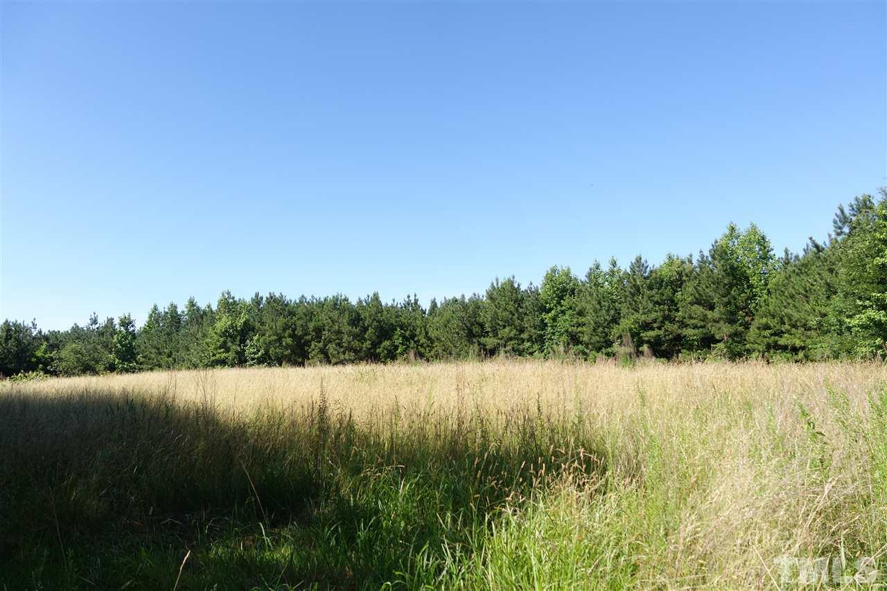 4444 Glebe Road Henderson, NC 27537 - Photo 18 of 19 One of the open field on the acreage