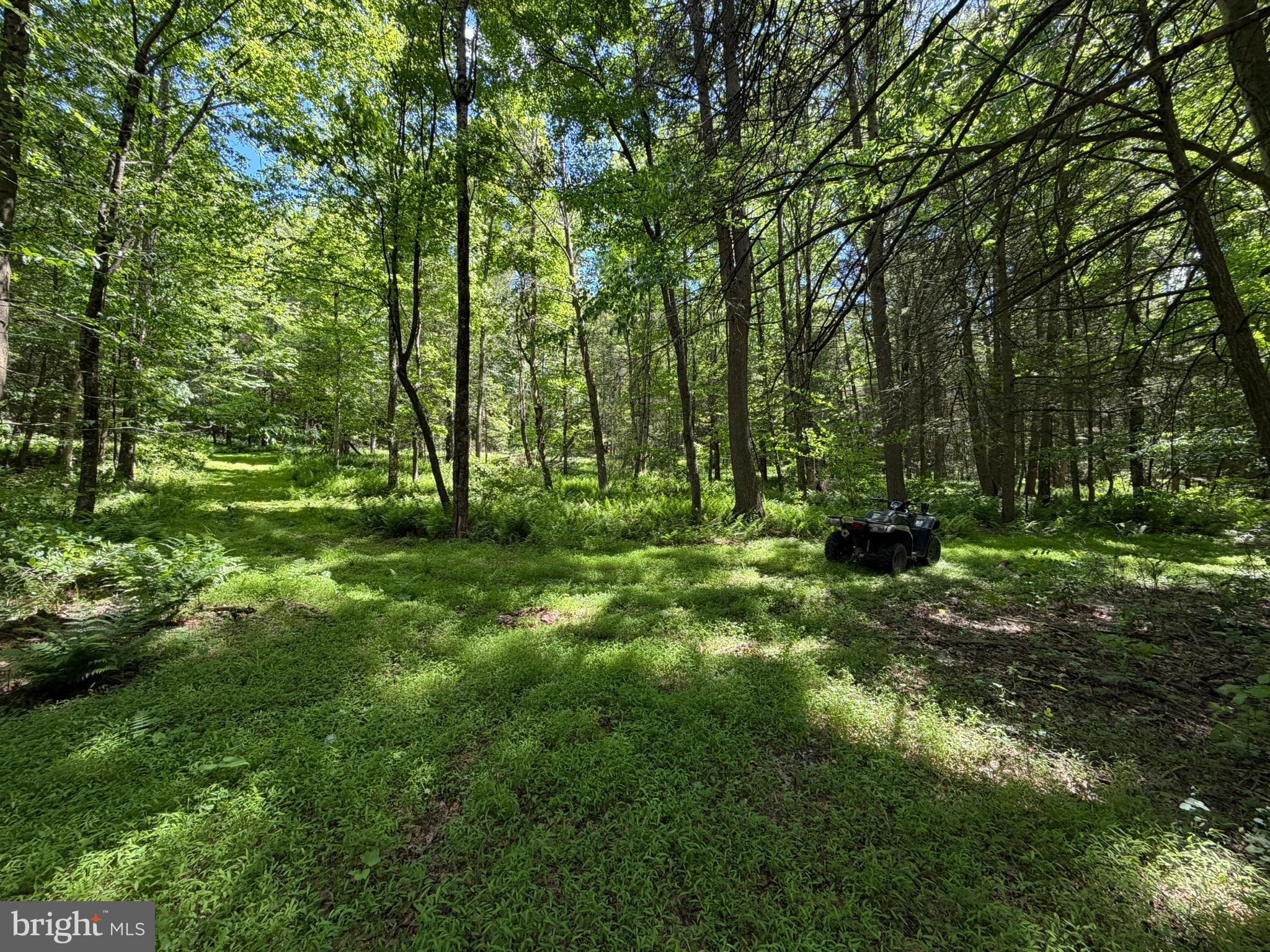 580 Fairview Road Howard, PA 16841 - Photo 44 of 100