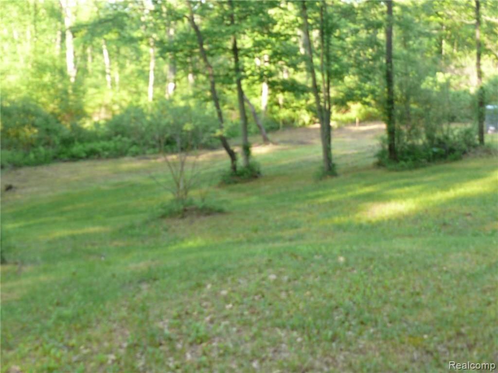 V/l V/l Doyle Road Pinckney, MI 48169 - Photo 23 of 24