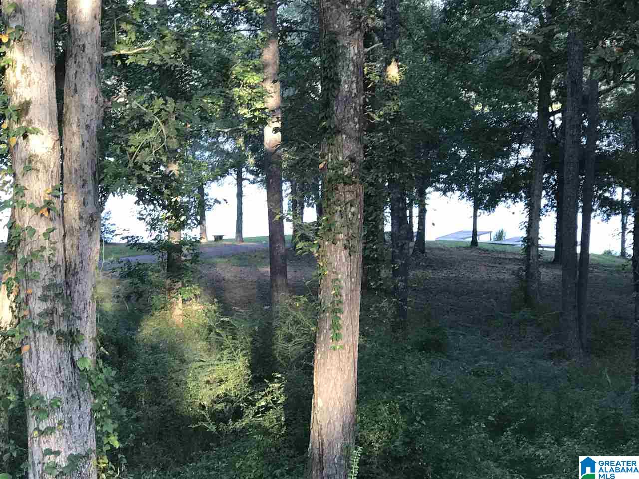 15 Arrowhead Drive Riverside, AL 35135 - Photo 2 of 39