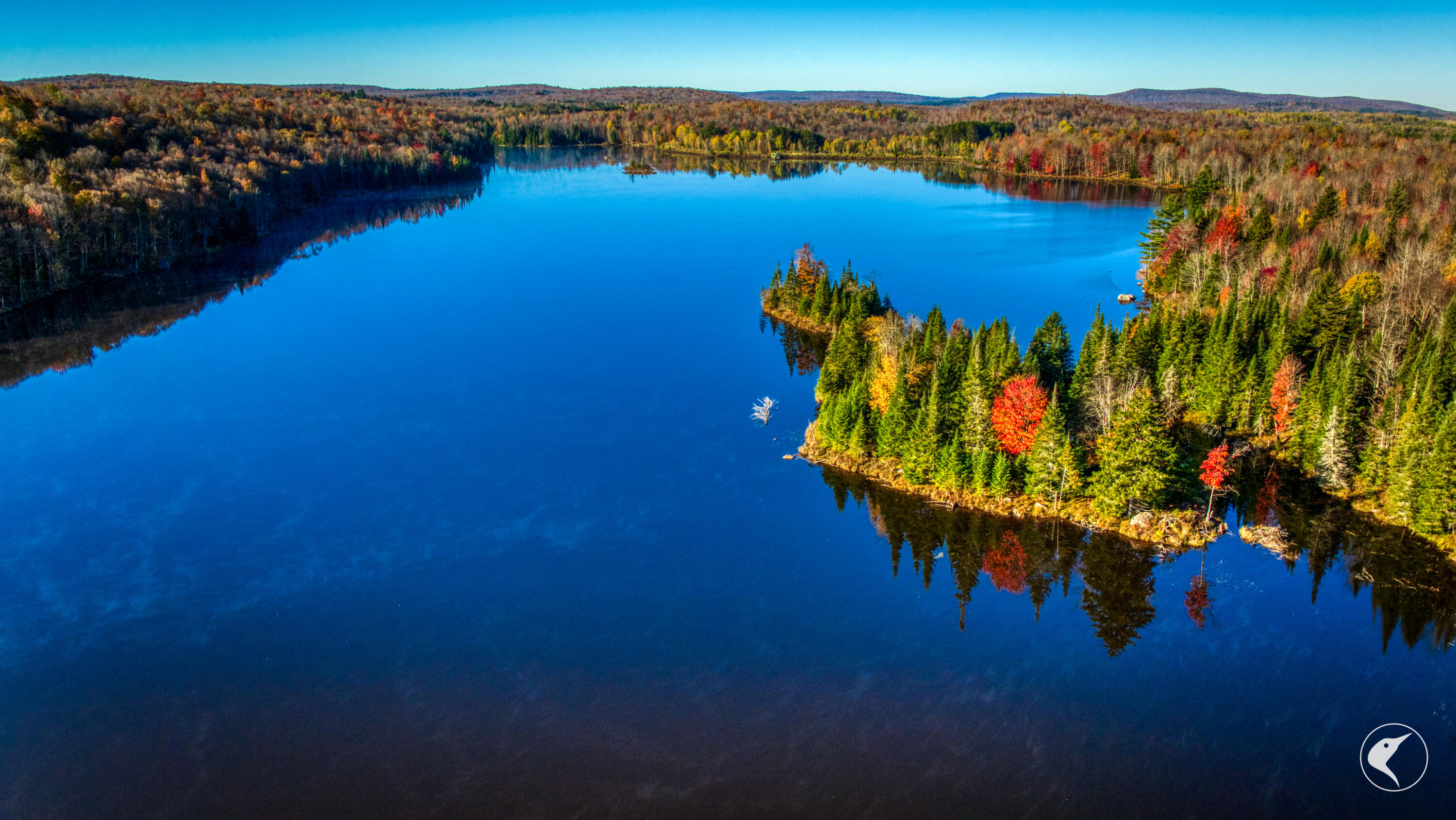 4891 State Rte 3 Newton Falls, NY 13666 - Photo 37 of 41 DJI_20241018092854_0141_D