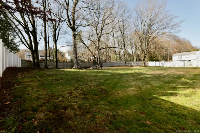 a big yard with lots of trees and plants