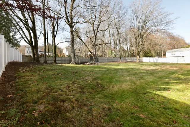 a big yard with lots of trees