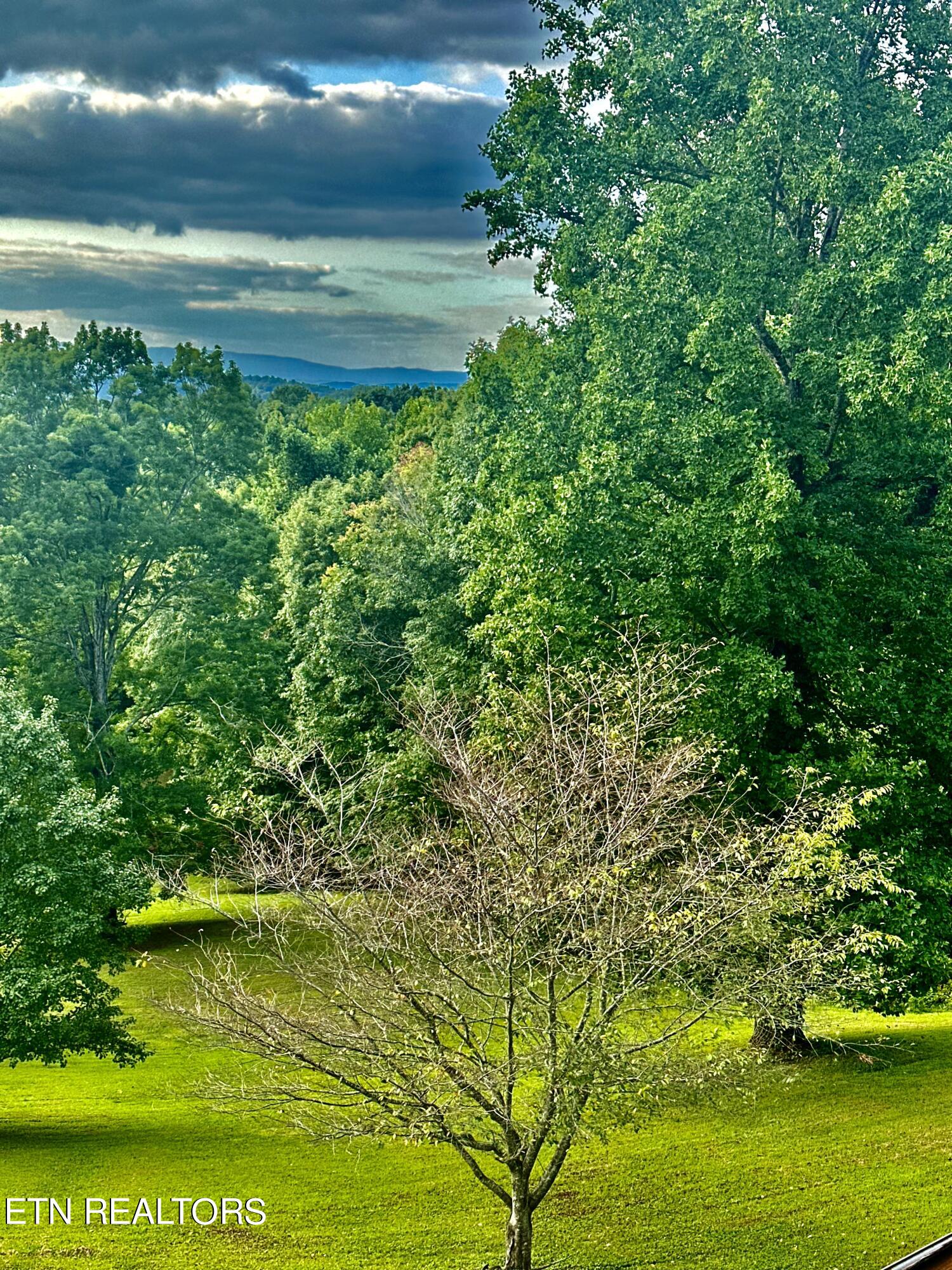 1022 Fox Hunter Road Maynardville, TN 37807 - Photo 51 of 53 IMG_1551