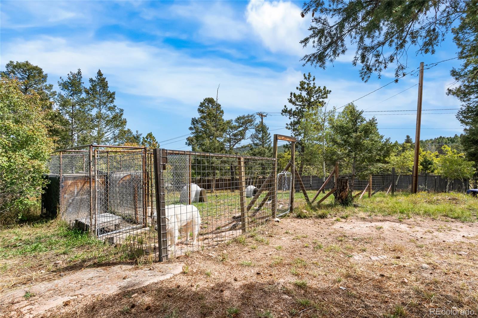 11948 Apache Trail Conifer, CO 80433 - Photo 36 of 45 a view of a park