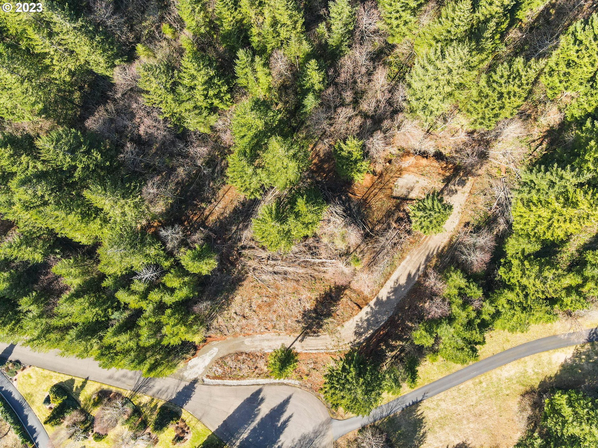 Livingston Mt Circle Camas, WA 98607 - Photo 11 of 18