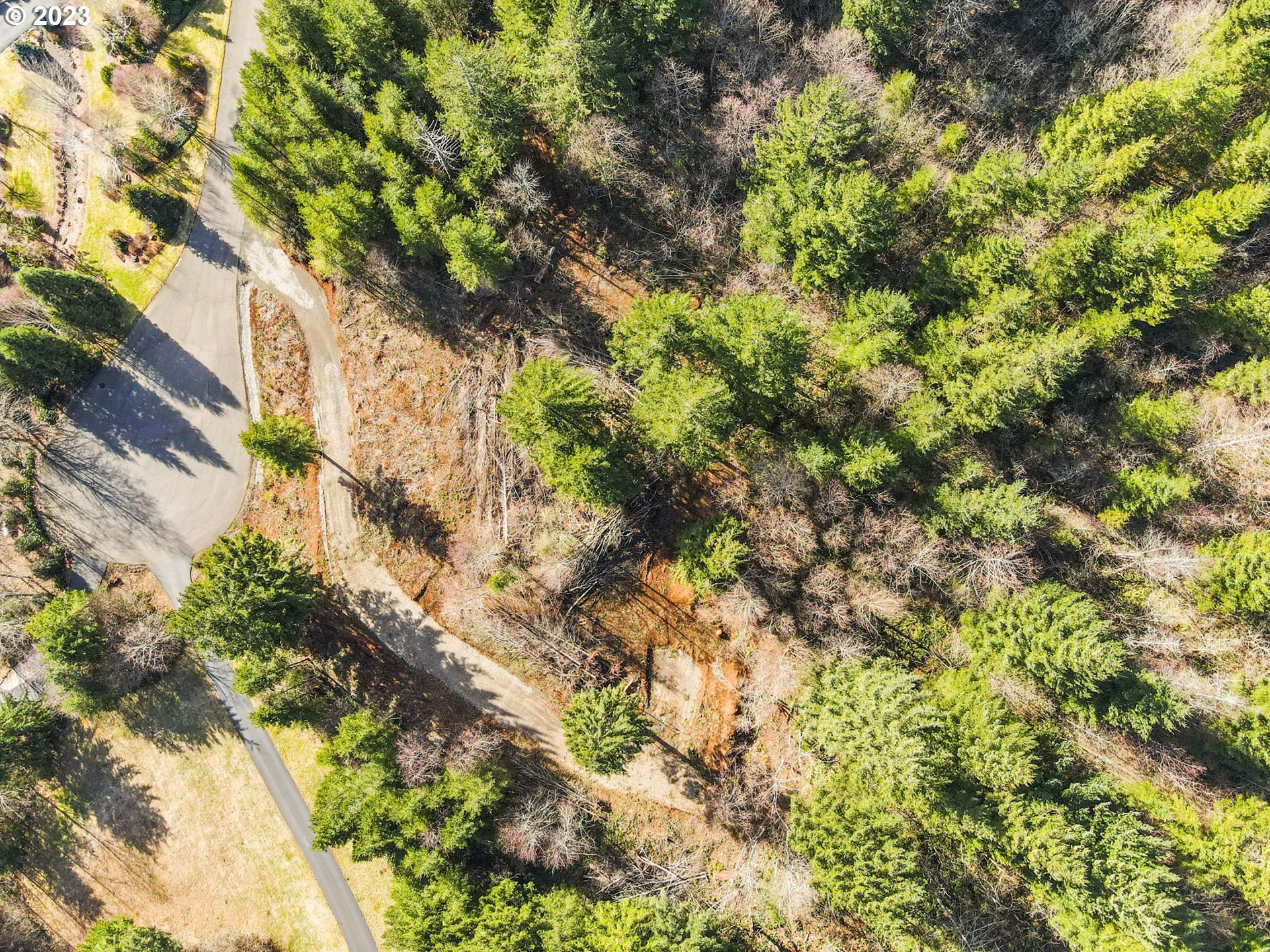 Livingston Mt Circle Camas, WA 98607 - Photo 12 of 18