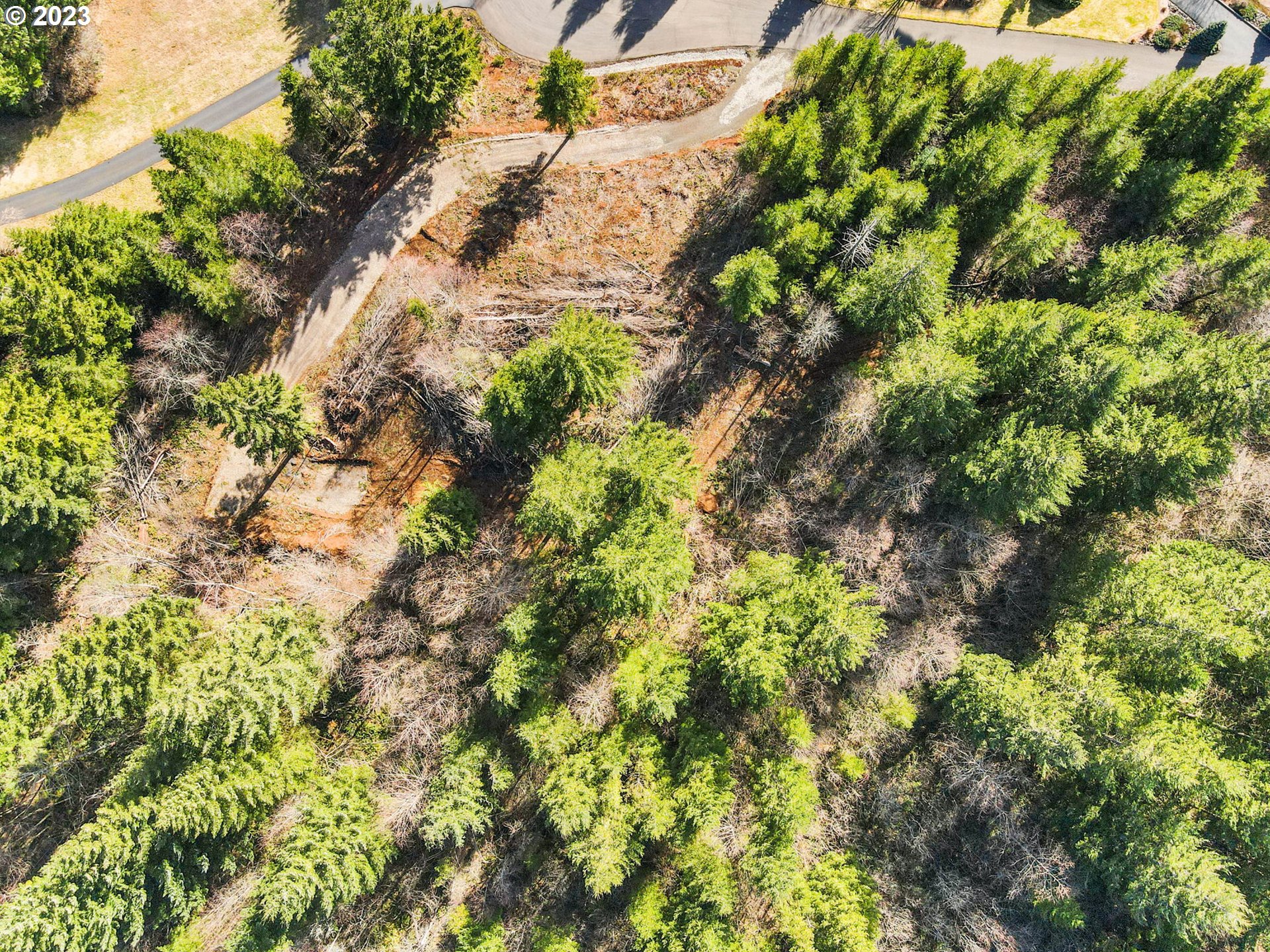 Livingston Mt Circle Camas, WA 98607 - Photo 13 of 18