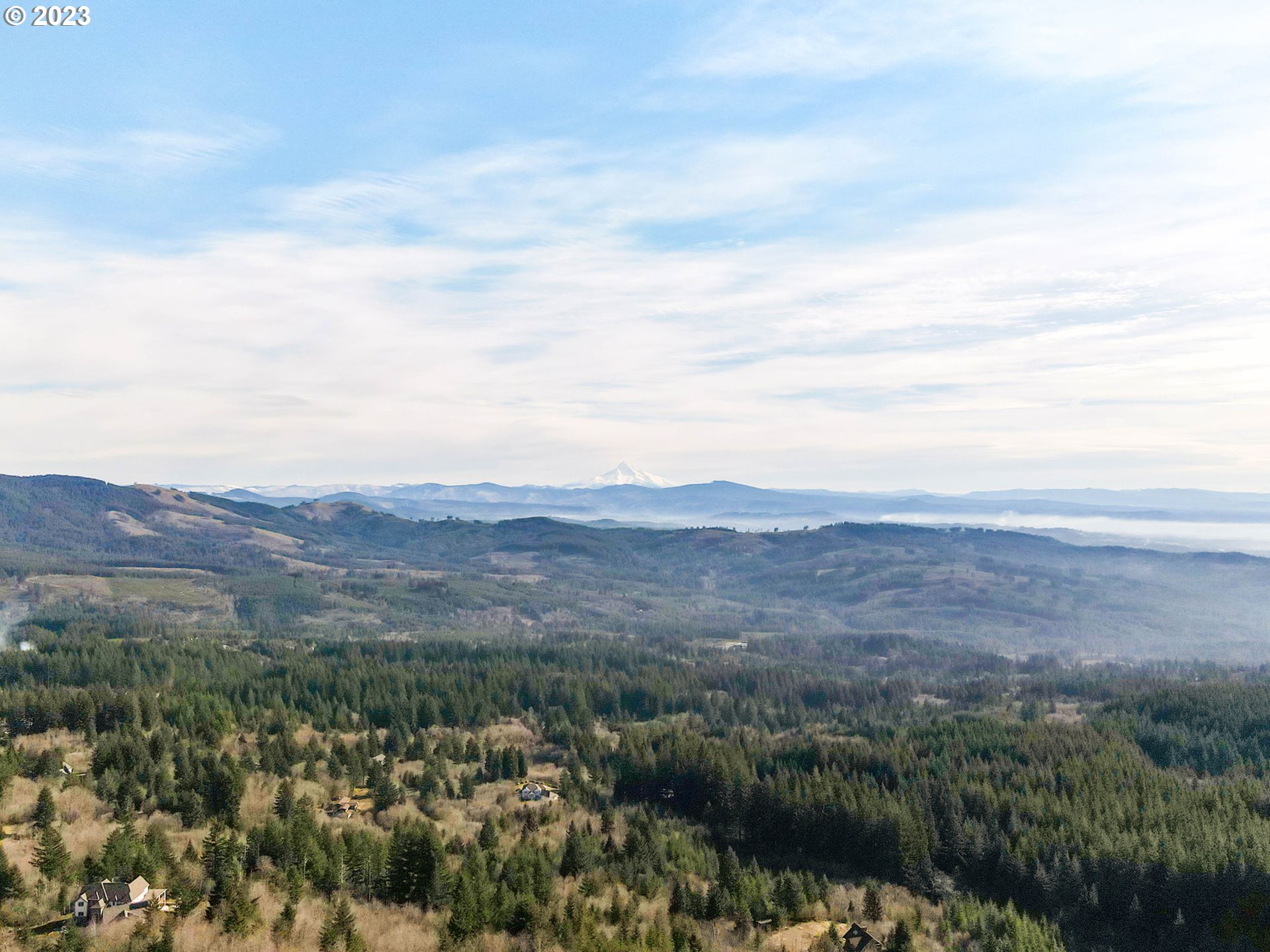 Livingston Mt Circle Camas, WA 98607 - Photo 14 of 18