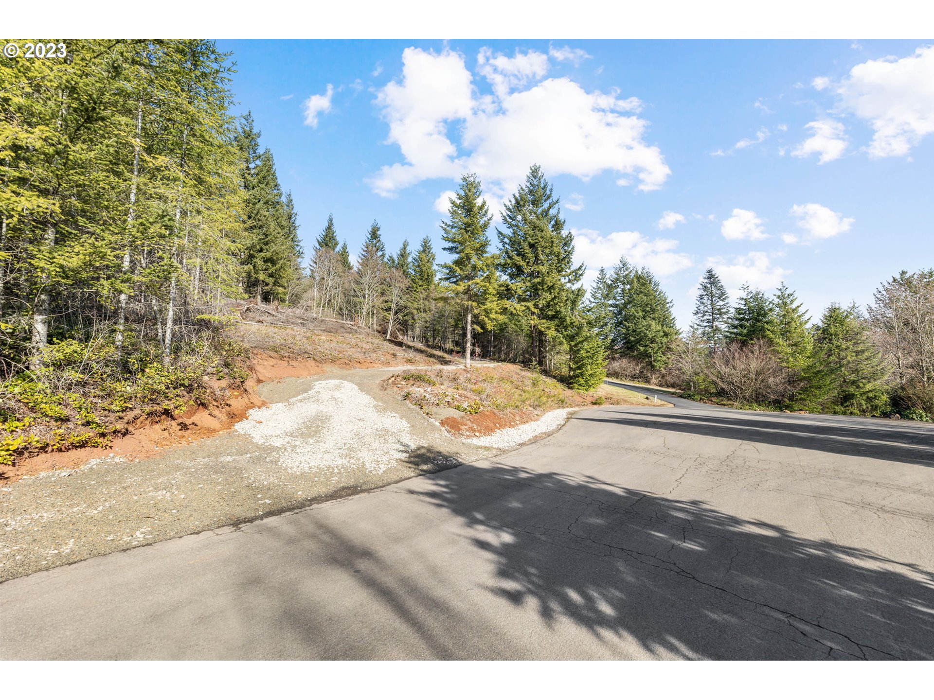 Livingston Mt Circle Camas, WA 98607 - Photo 16 of 18