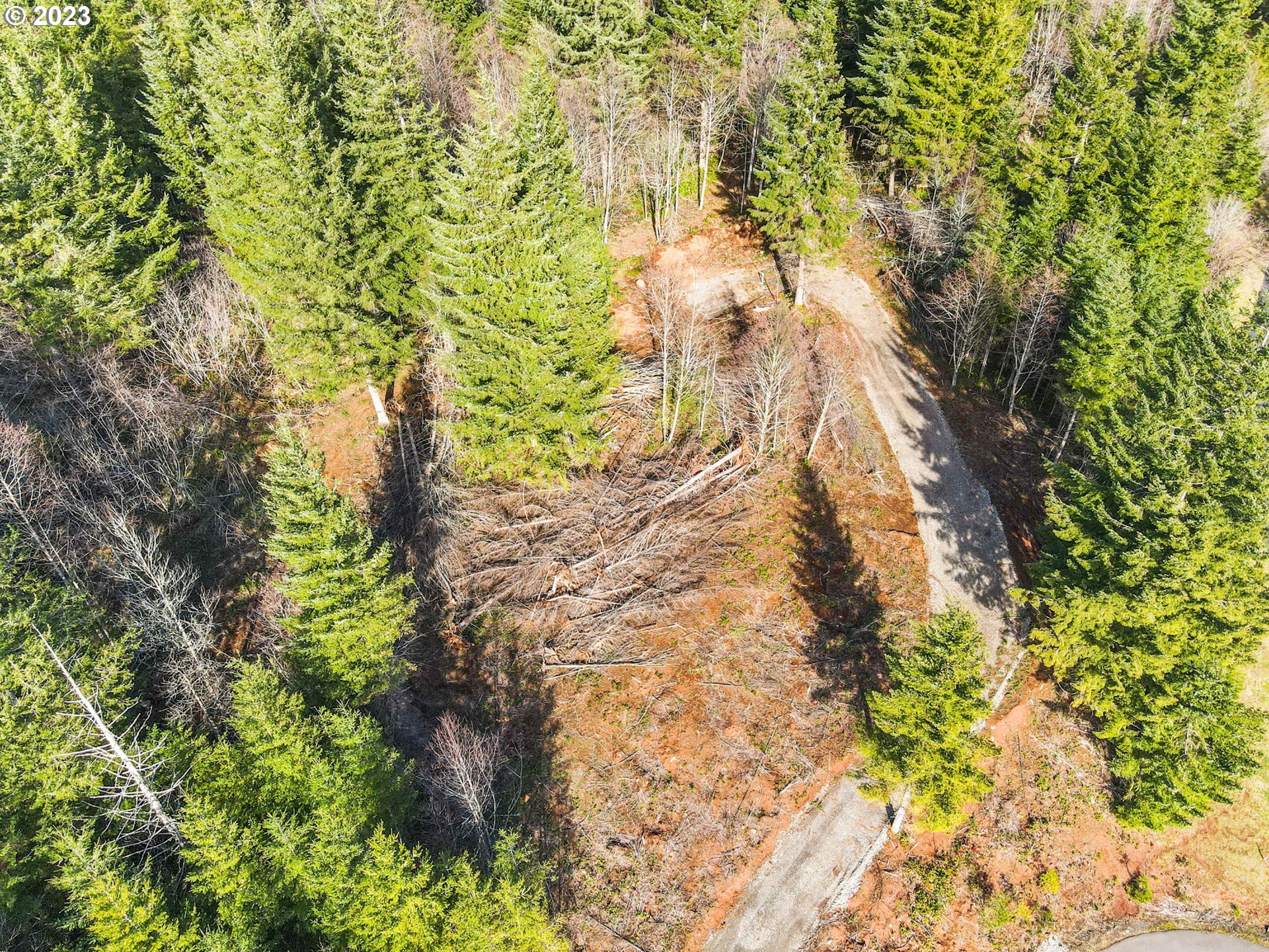 Livingston Mt Circle Camas, WA 98607 - Photo 2 of 18