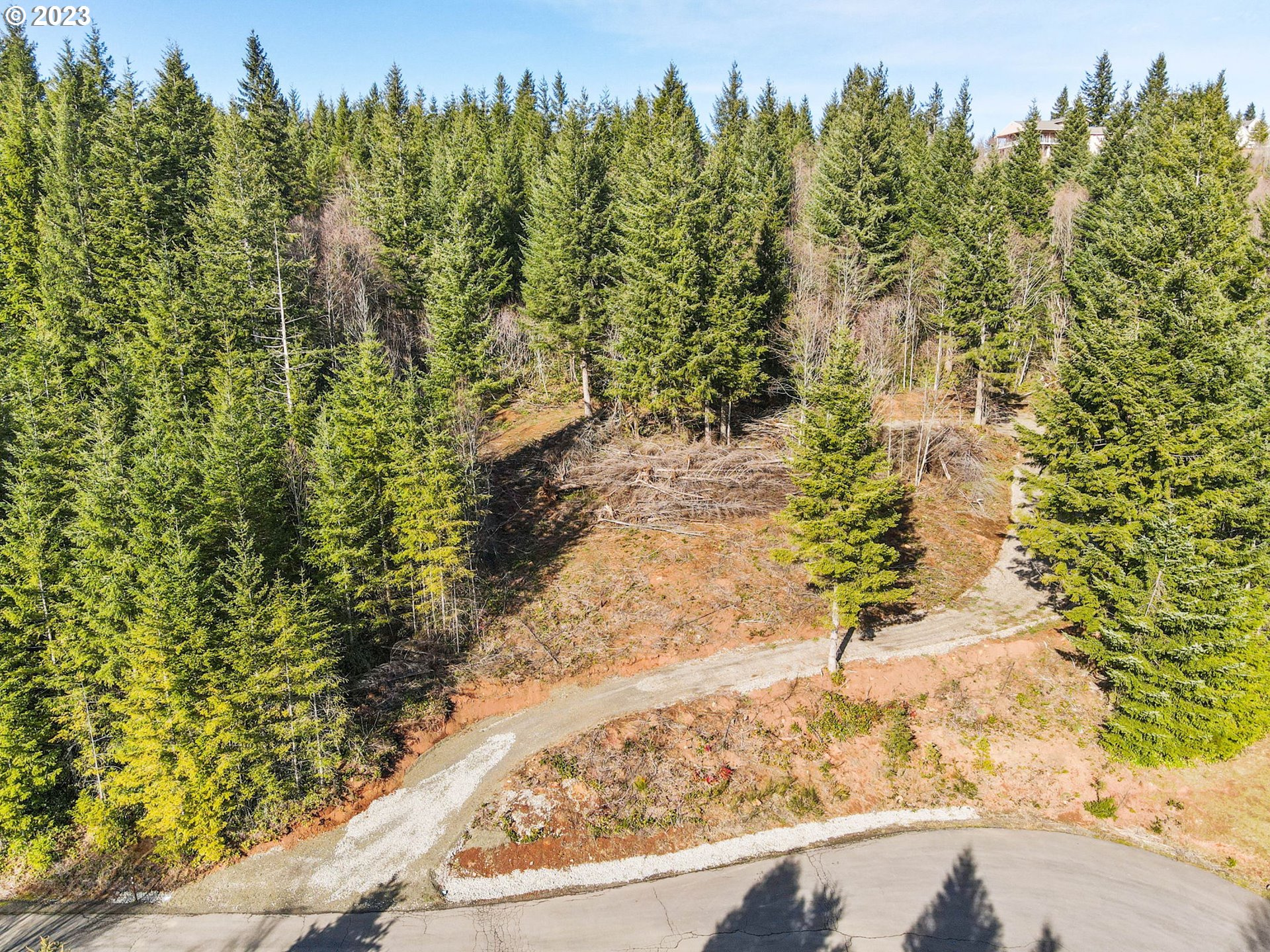 Livingston Mt Circle Camas, WA 98607 - Photo 3 of 18