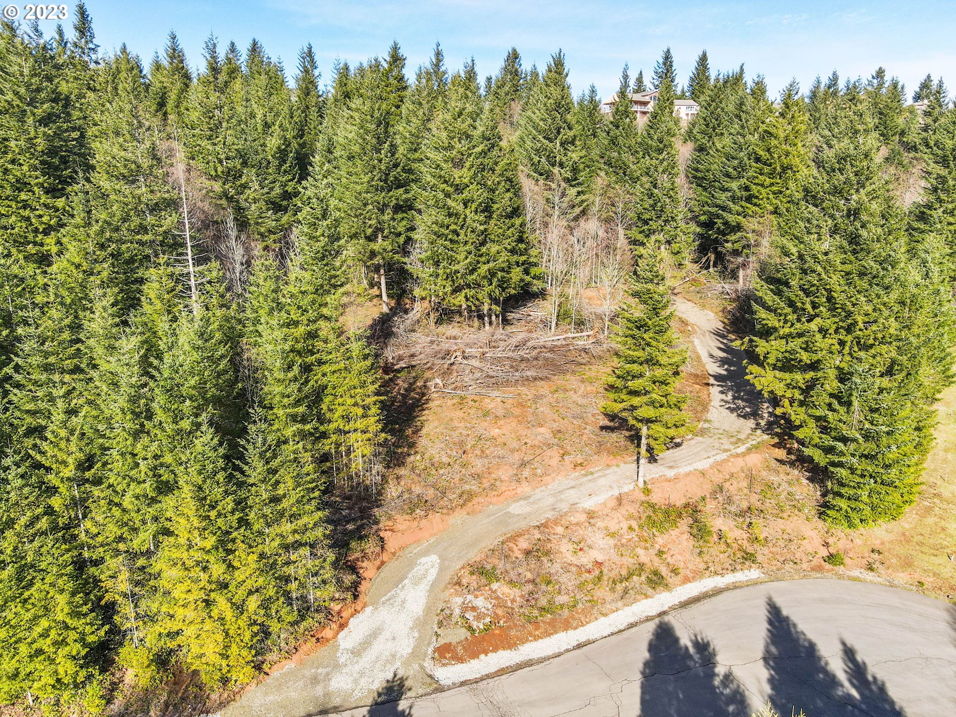 Livingston Mt Circle Camas, WA 98607 - Photo 4 of 18