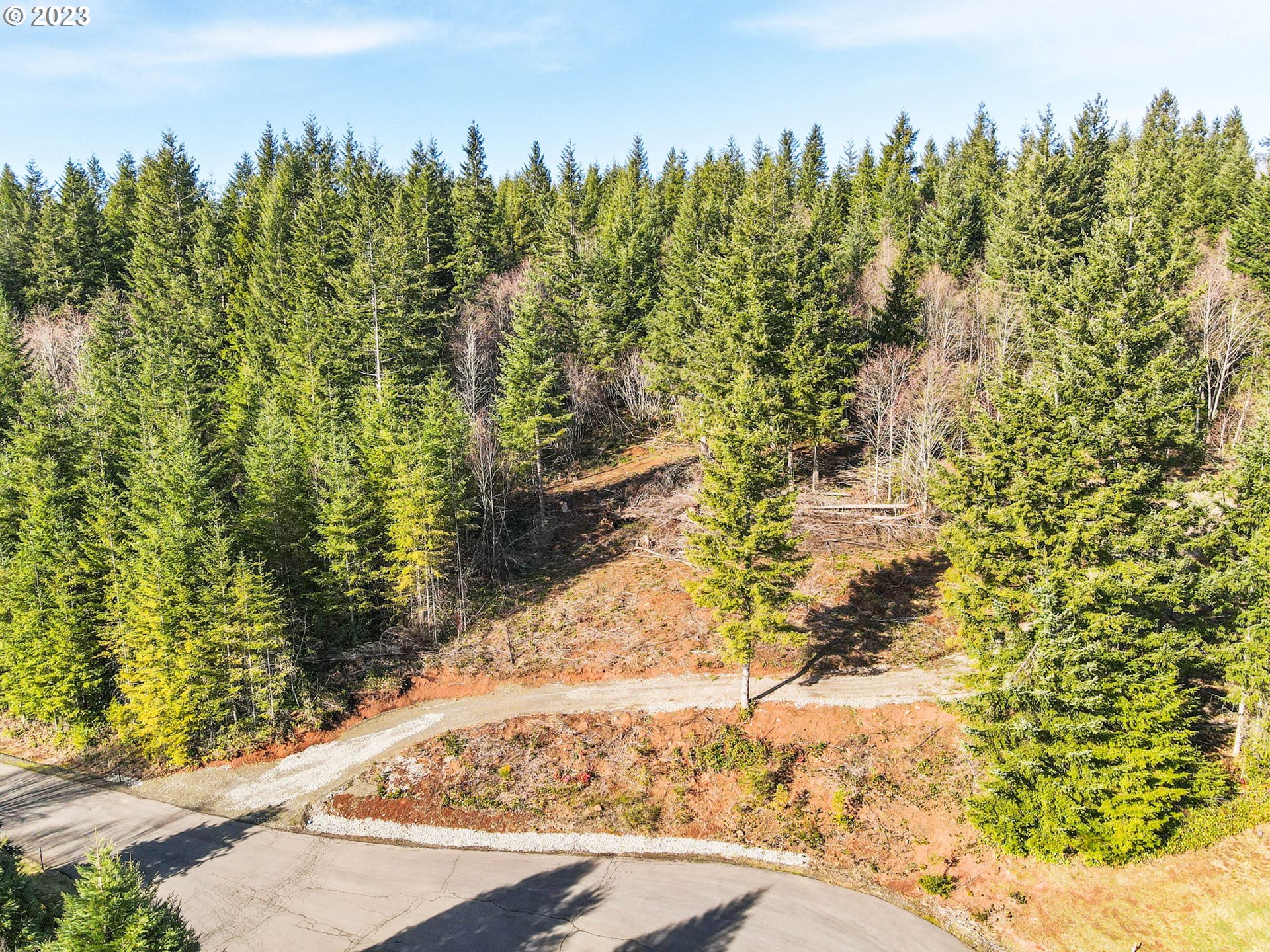 Livingston Mt Circle Camas, WA 98607 - Photo 5 of 18