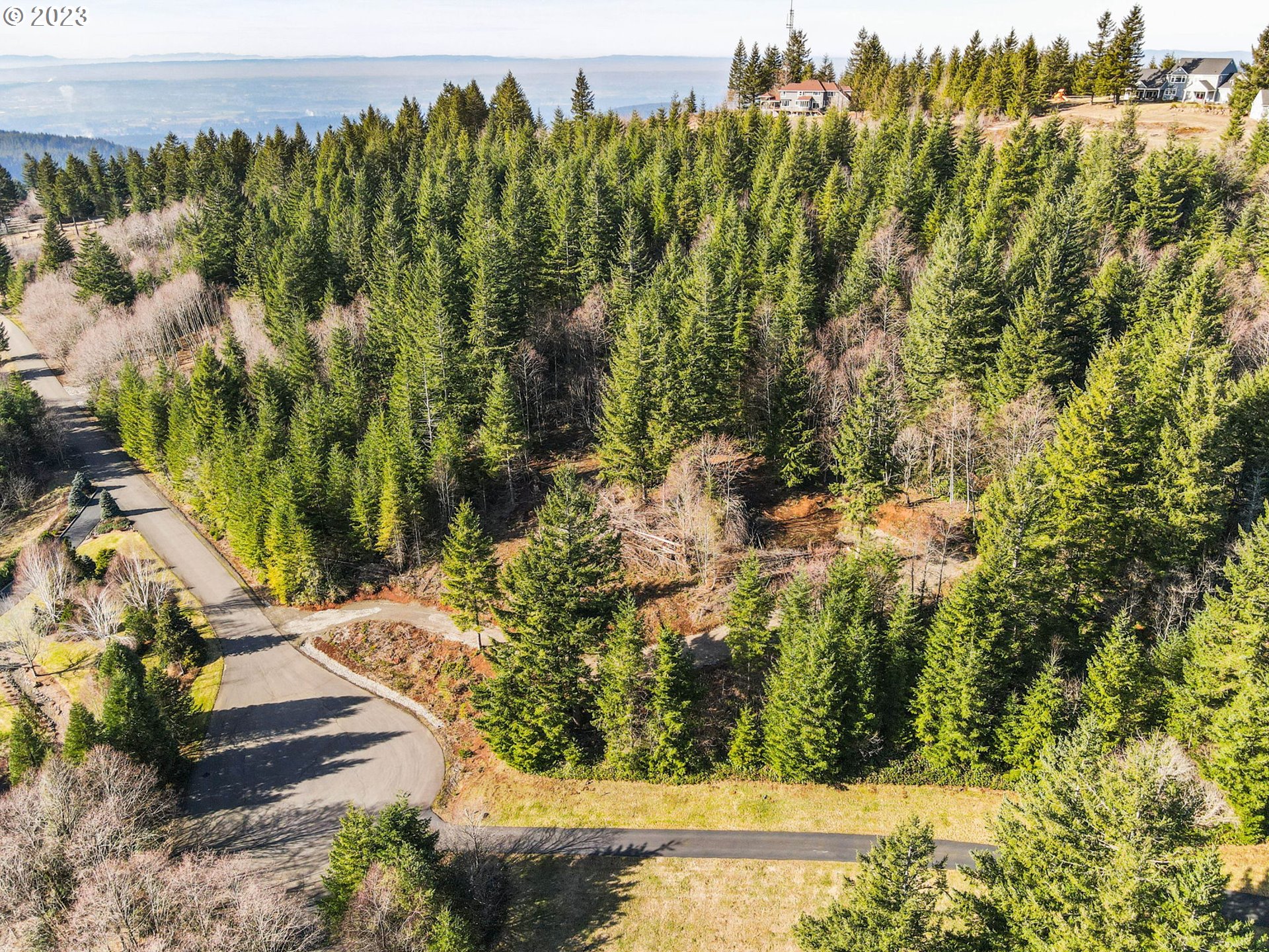 Livingston Mt Circle Camas, WA 98607 - Photo 6 of 18