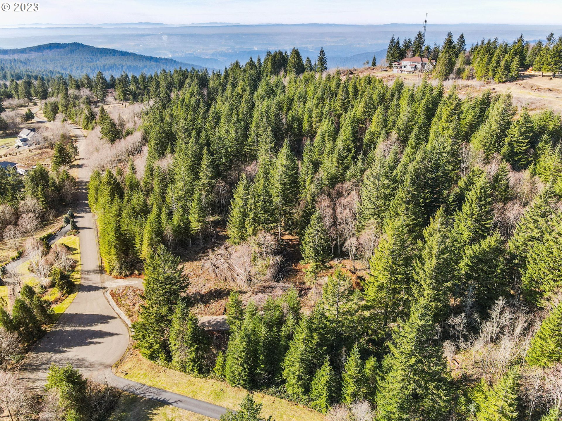 Livingston Mt Circle Camas, WA 98607 - Photo 7 of 18