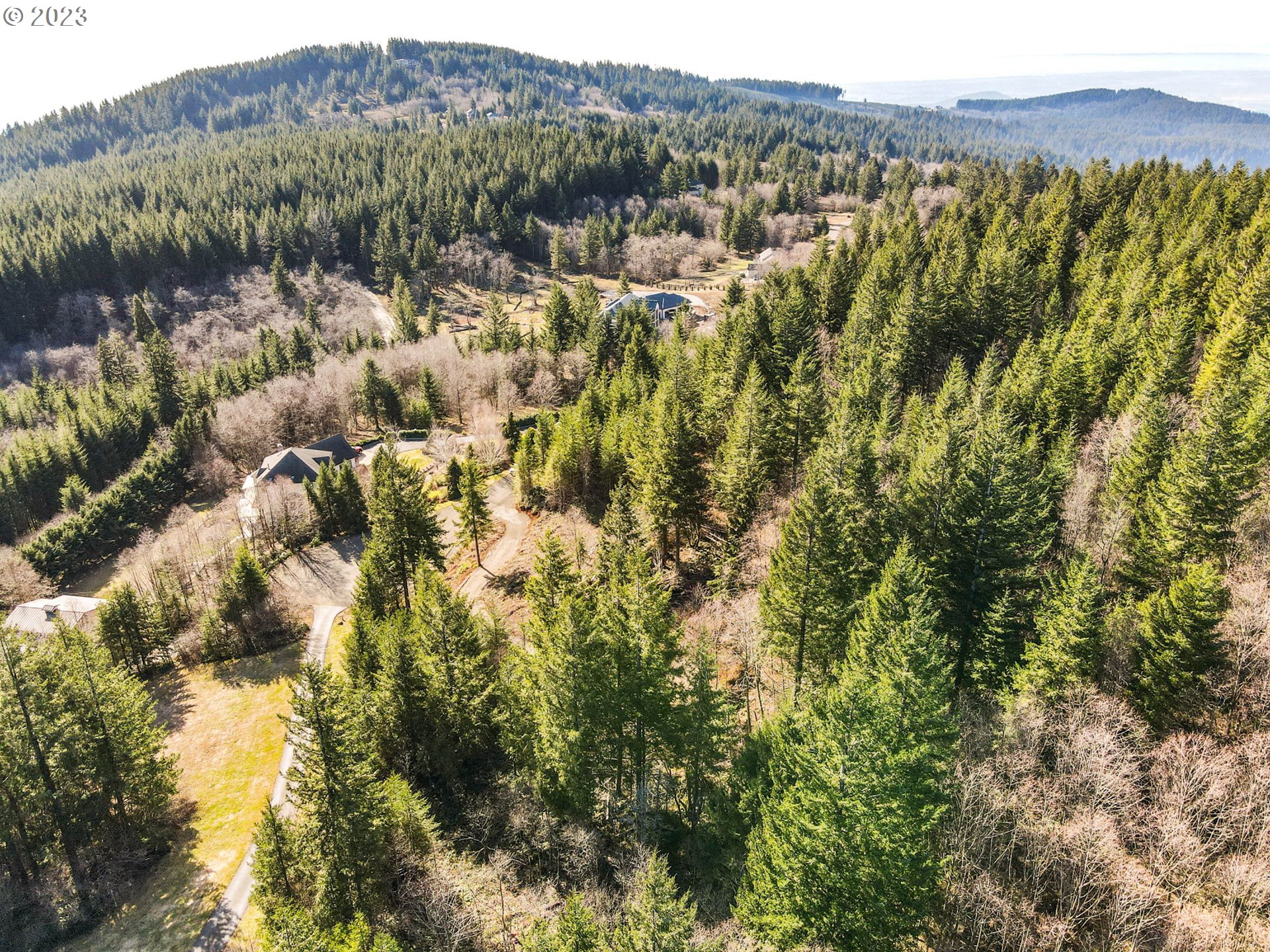 Livingston Mt Circle Camas, WA 98607 - Photo 8 of 18