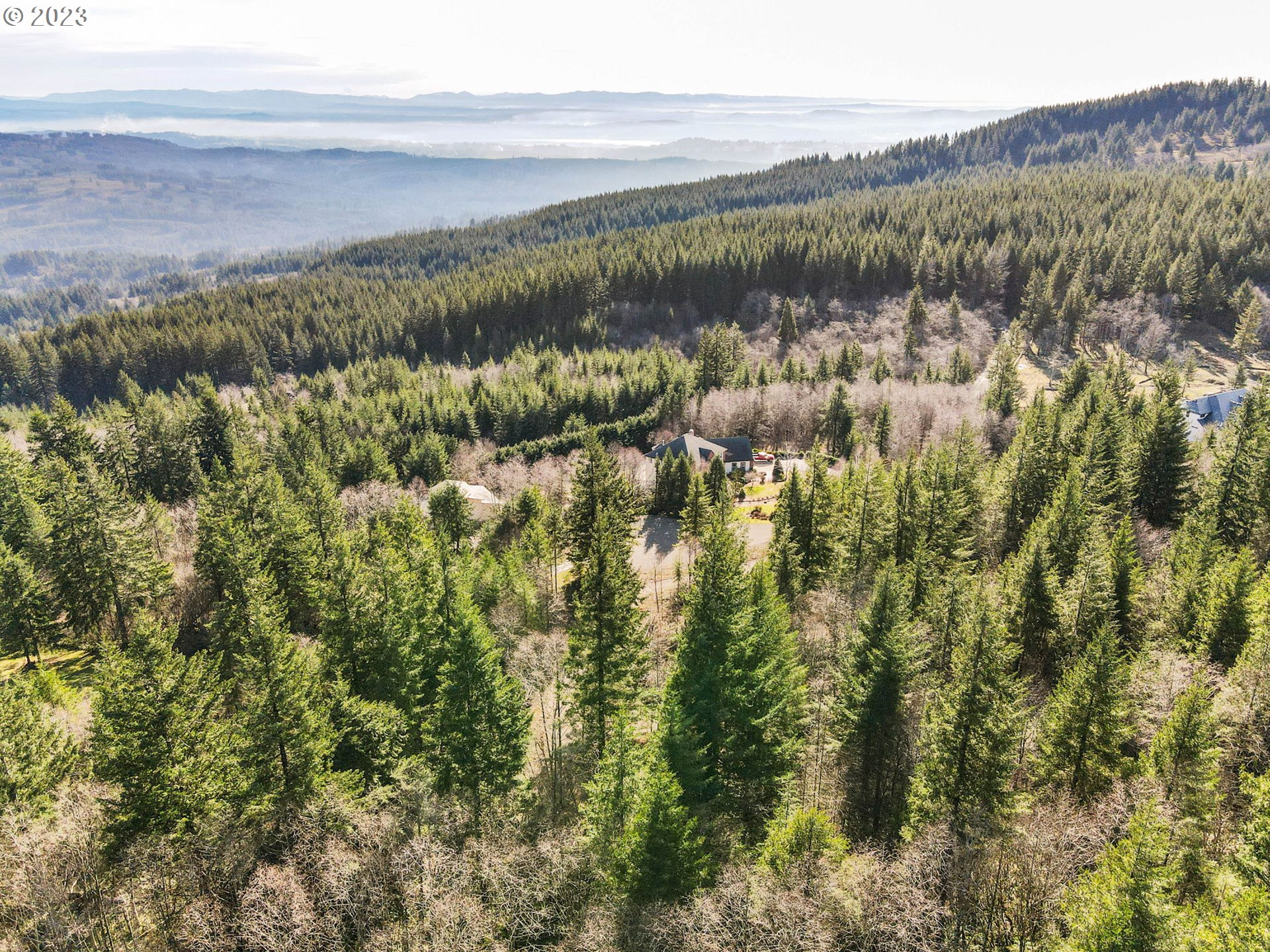 Livingston Mt Circle Camas, WA 98607 - Photo 9 of 18