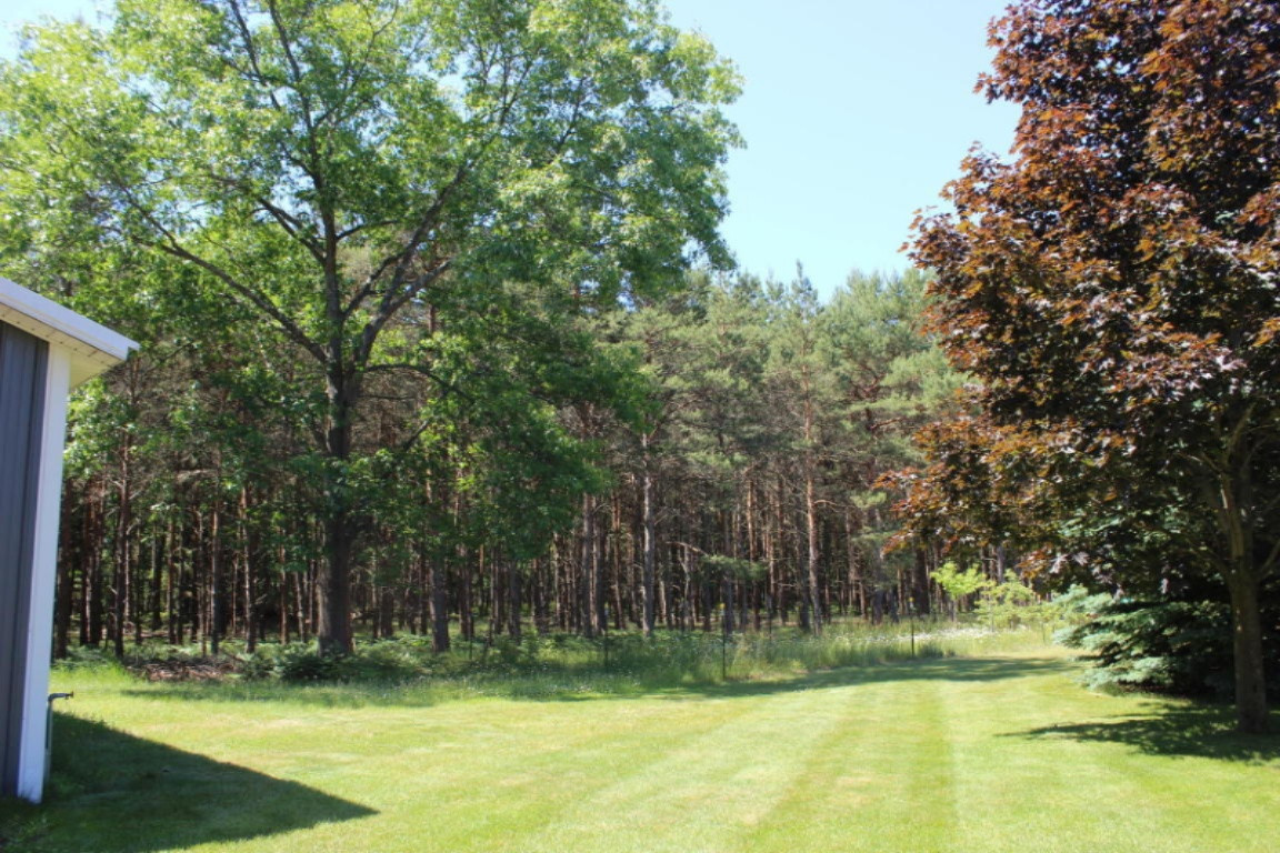 1115 Red Apple Road Manistee, MI 49660 - Photo 32 of 40 20160628173435904254000000-o