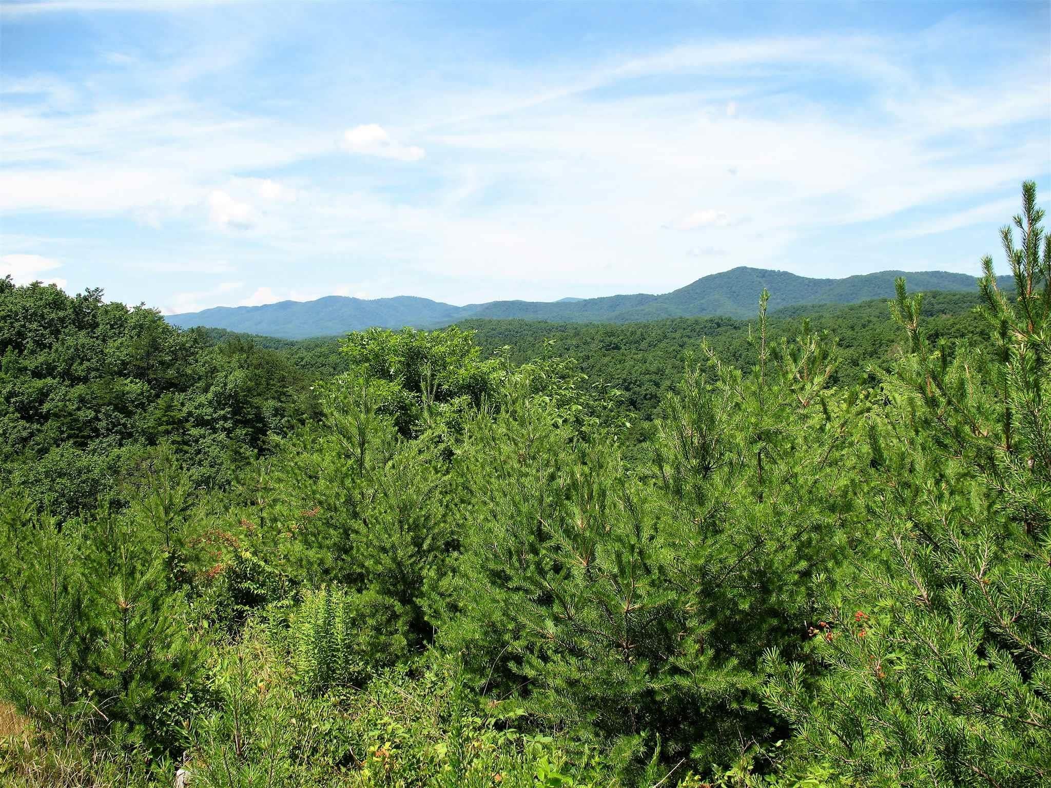 6918 Jackson River Road Hot Springs, VA 24445 - Photo 5 of 17 Gallery Image 5
