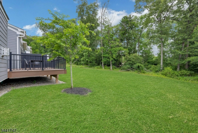 63 Samuel Way Chatham, NJ 07928 - Photo 34 of 48