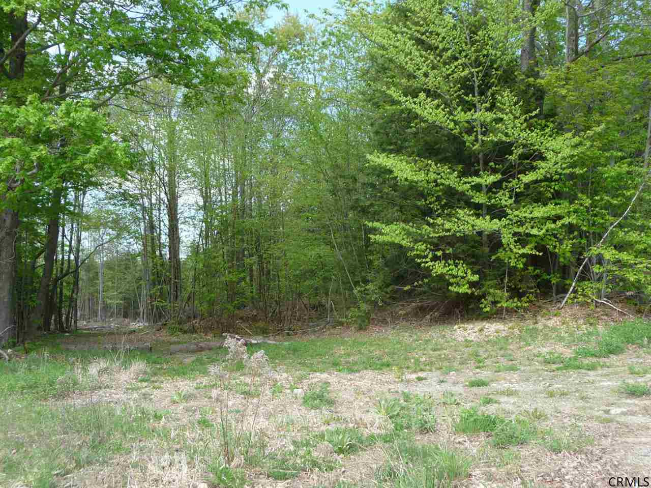 7319 Bills Road Providence, NY 12850 - Photo 5 of 7 Photo 5