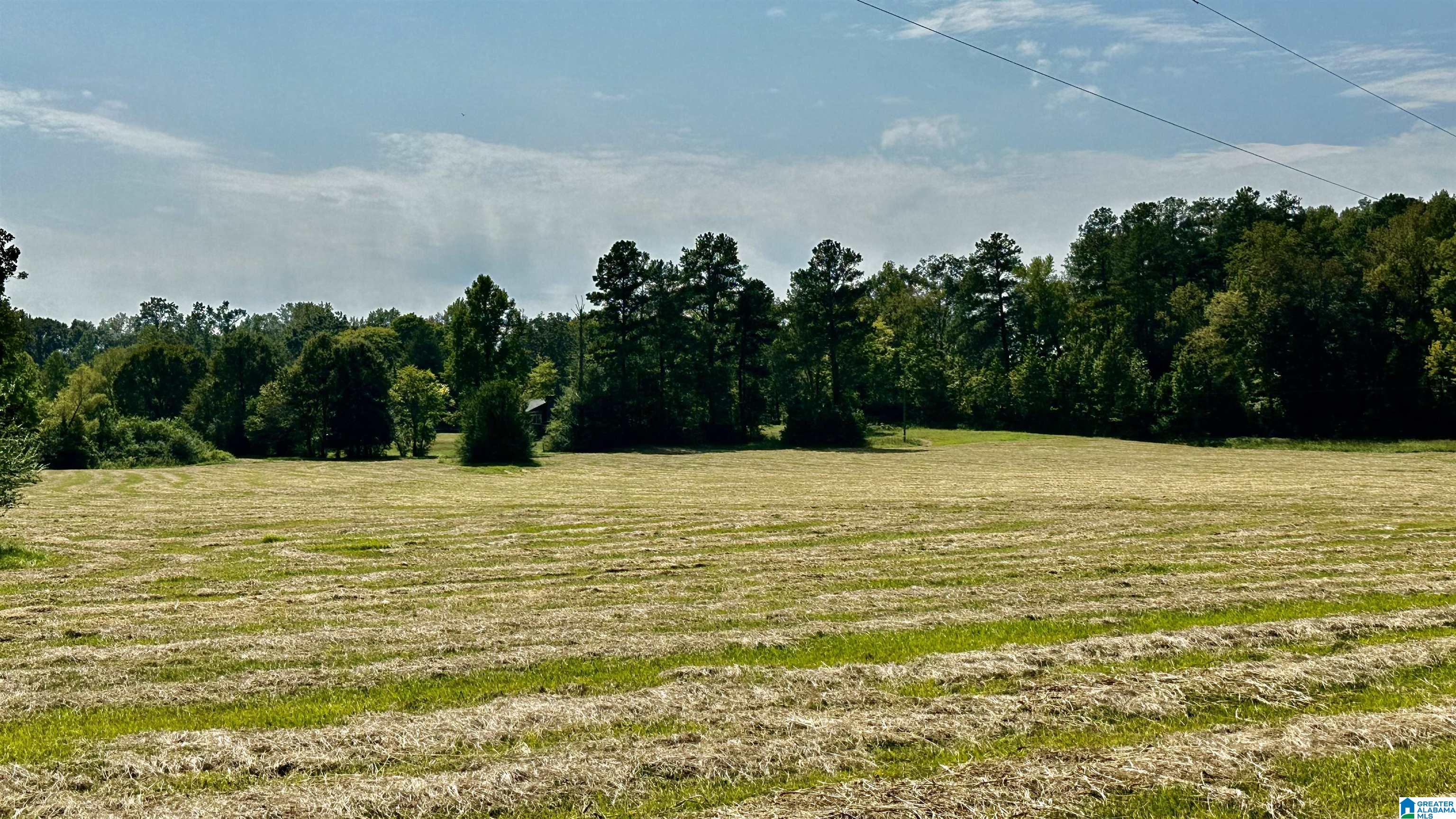 0 Rock School Road Harpersville, AL 35078 - Photo 13 of 15