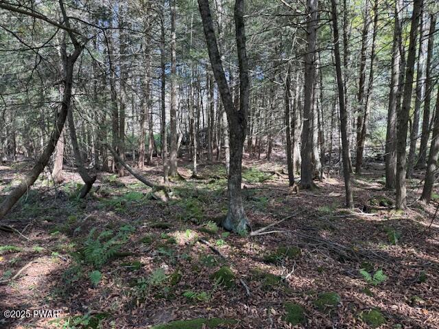 Fairmont Road Road Starrucca, PA 18462 - Photo 3 of 18