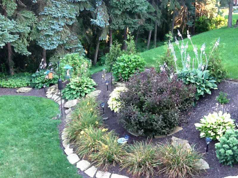 550 Miranda Road Upper St. Clair, PA 15241 - Photo 25 of 25 Yard/Garden. Perennial garden accents rear yard-natural low maintenace