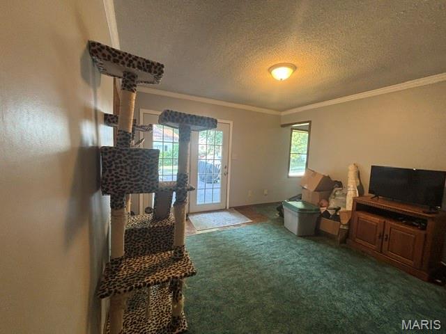 309 Palmyra Street Perry, MO 63462 - Photo 19 of 30