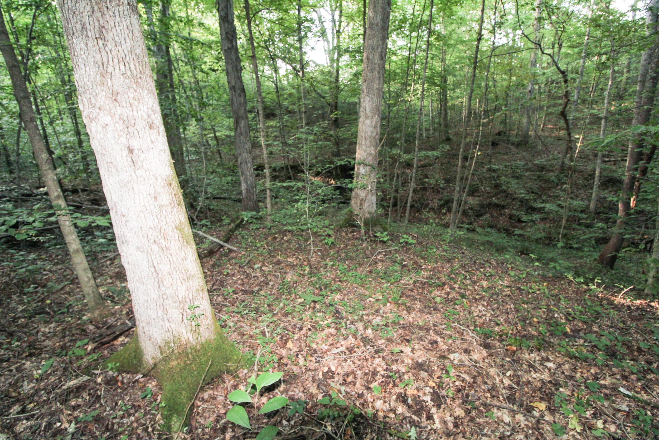 5975 Cutler Lake Road Blue Rock, OH 43720 - Photo 43 of 59