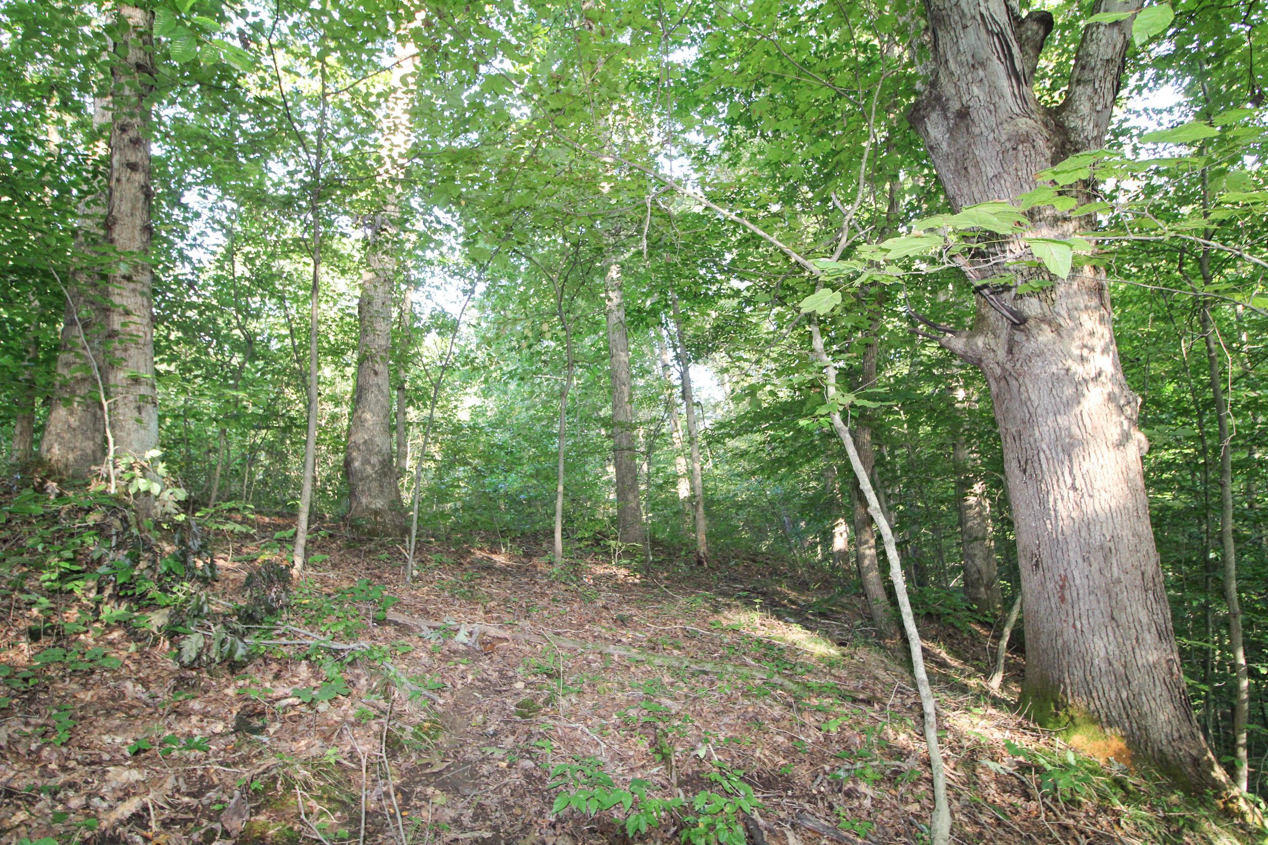 5975 Cutler Lake Road Blue Rock, OH 43720 - Photo 44 of 59