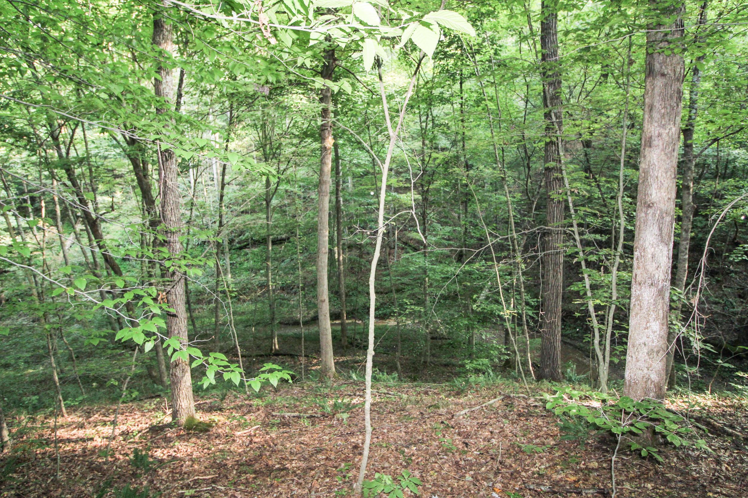 5975 Cutler Lake Road Blue Rock, OH 43720 - Photo 45 of 59