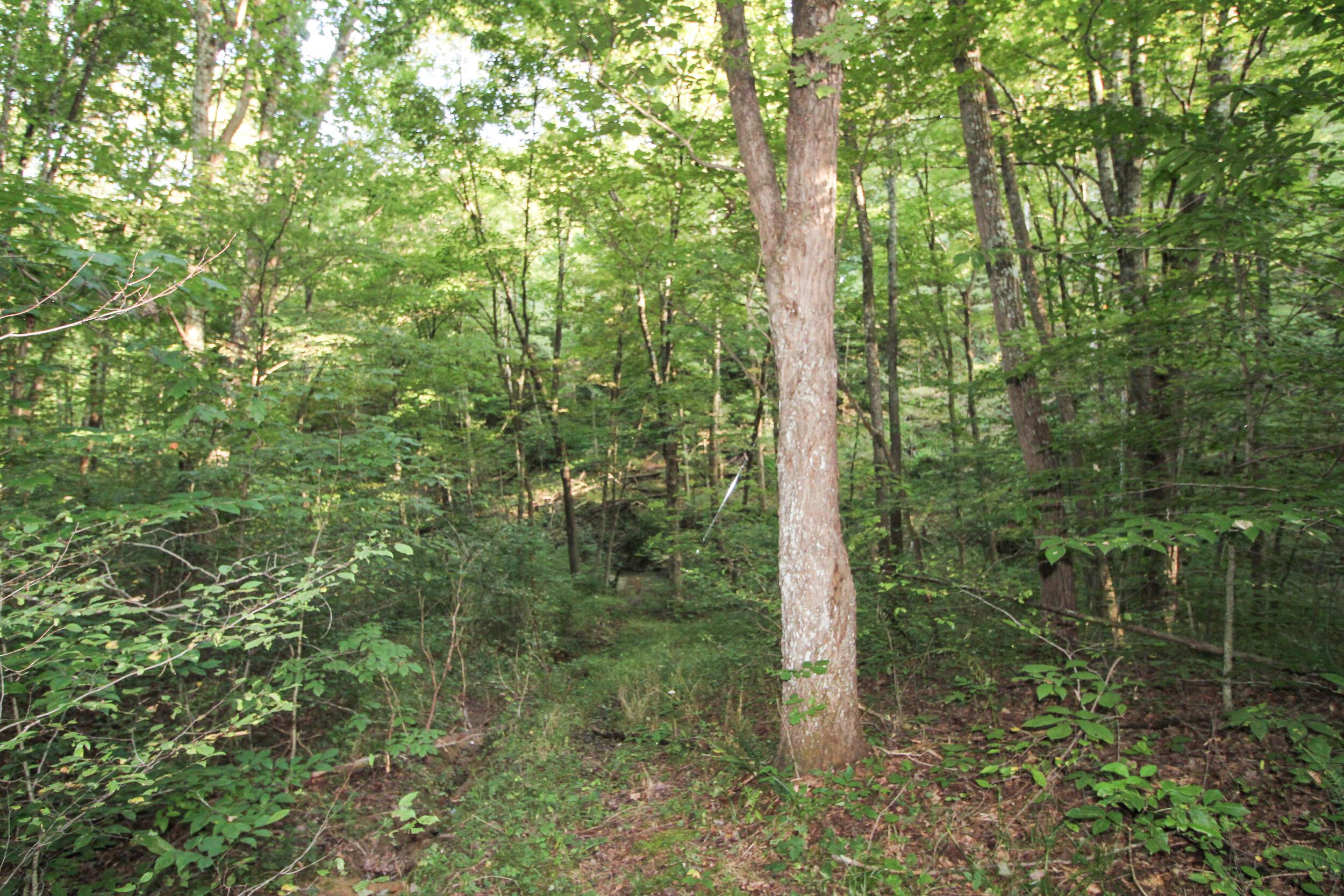 5975 Cutler Lake Road Blue Rock, OH 43720 - Photo 46 of 59