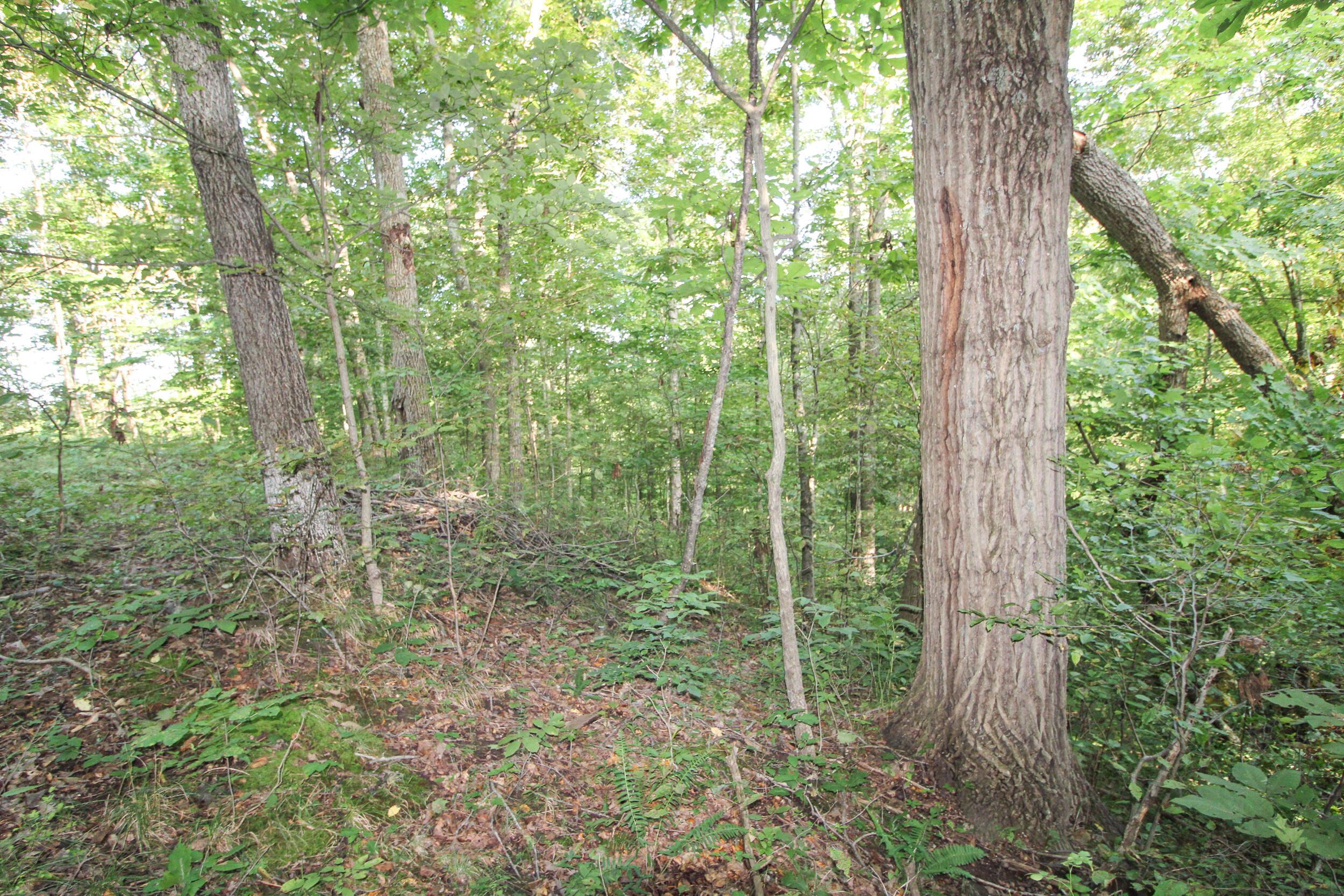 5975 Cutler Lake Road Blue Rock, OH 43720 - Photo 47 of 59
