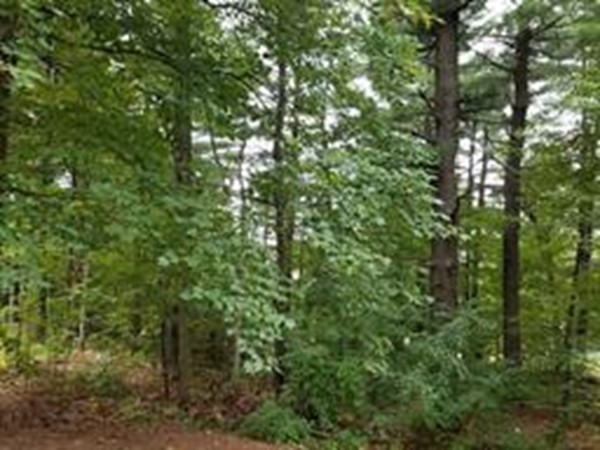 22 Browning Road Shrewsbury, MA 01545 - Photo 23 of 23