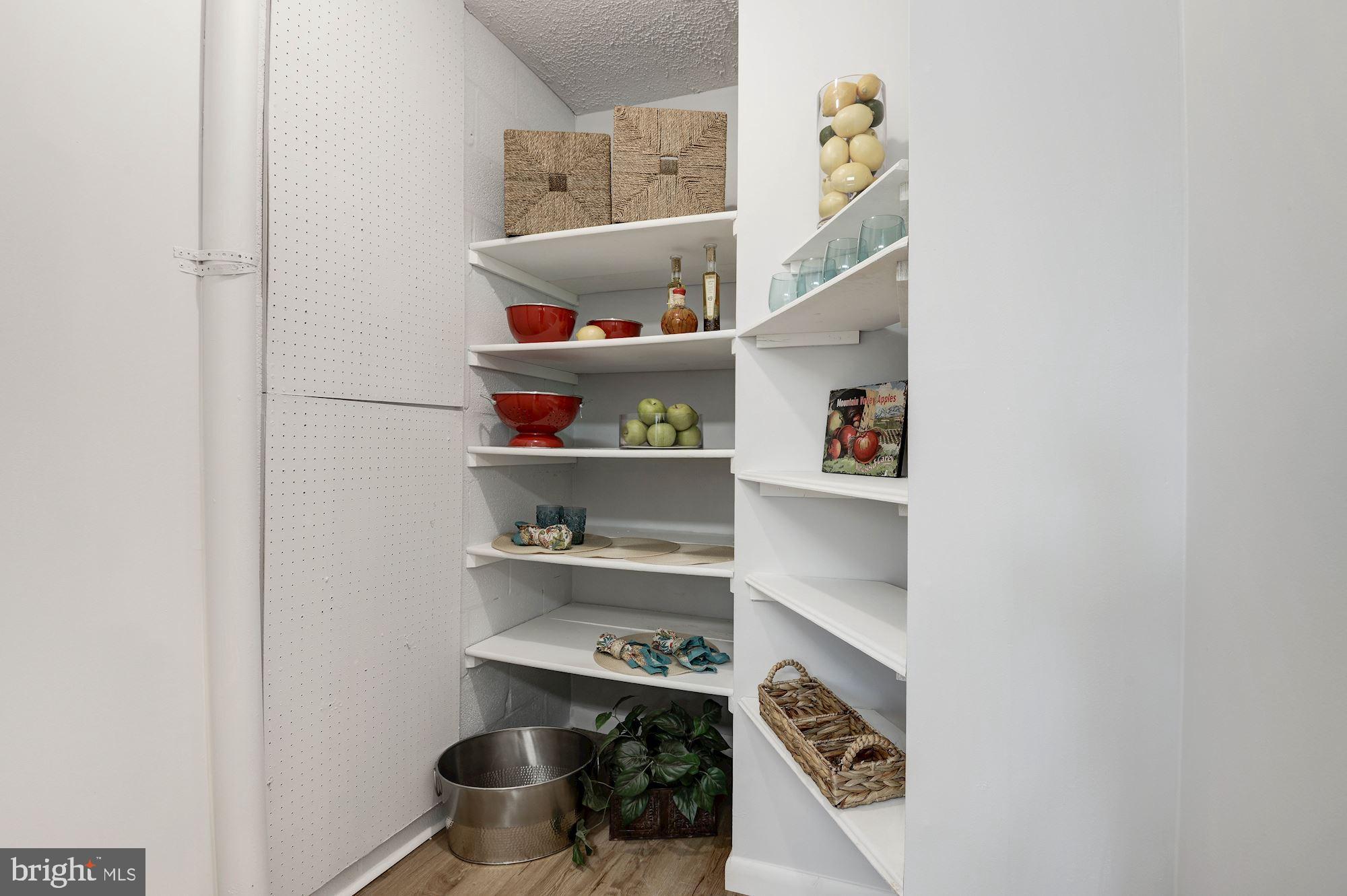 2186 Cartwright Place Reston, VA 20191 - Photo 17 of 33 Huge open pantry for all your storage needs