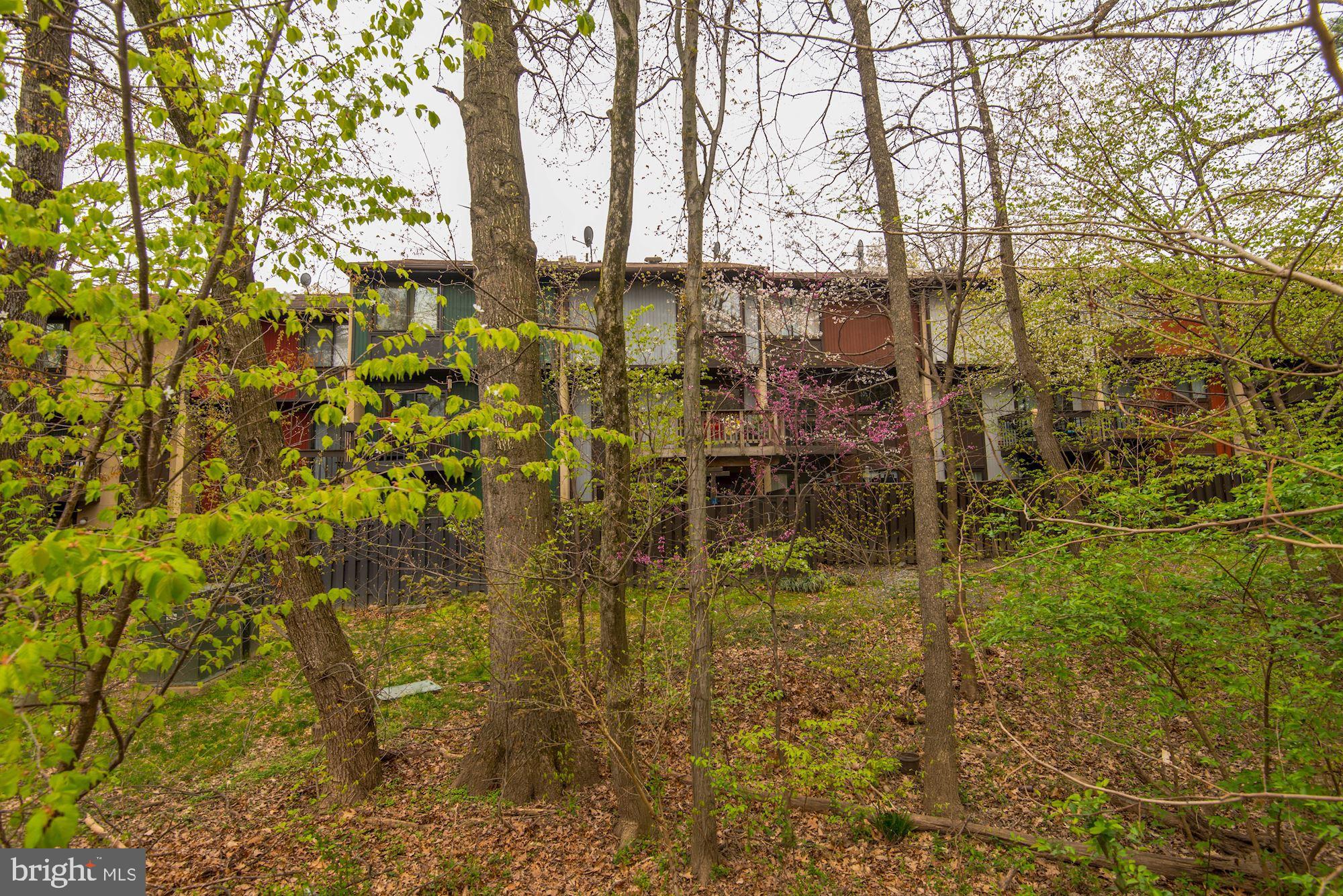 2186 Cartwright Place Reston, VA 20191 - Photo 29 of 33 the trees will fill in for privacy