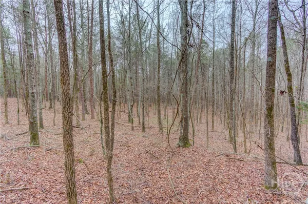 $141,450 | 0 Sunshine Church Road, Toccoa, GA 30577